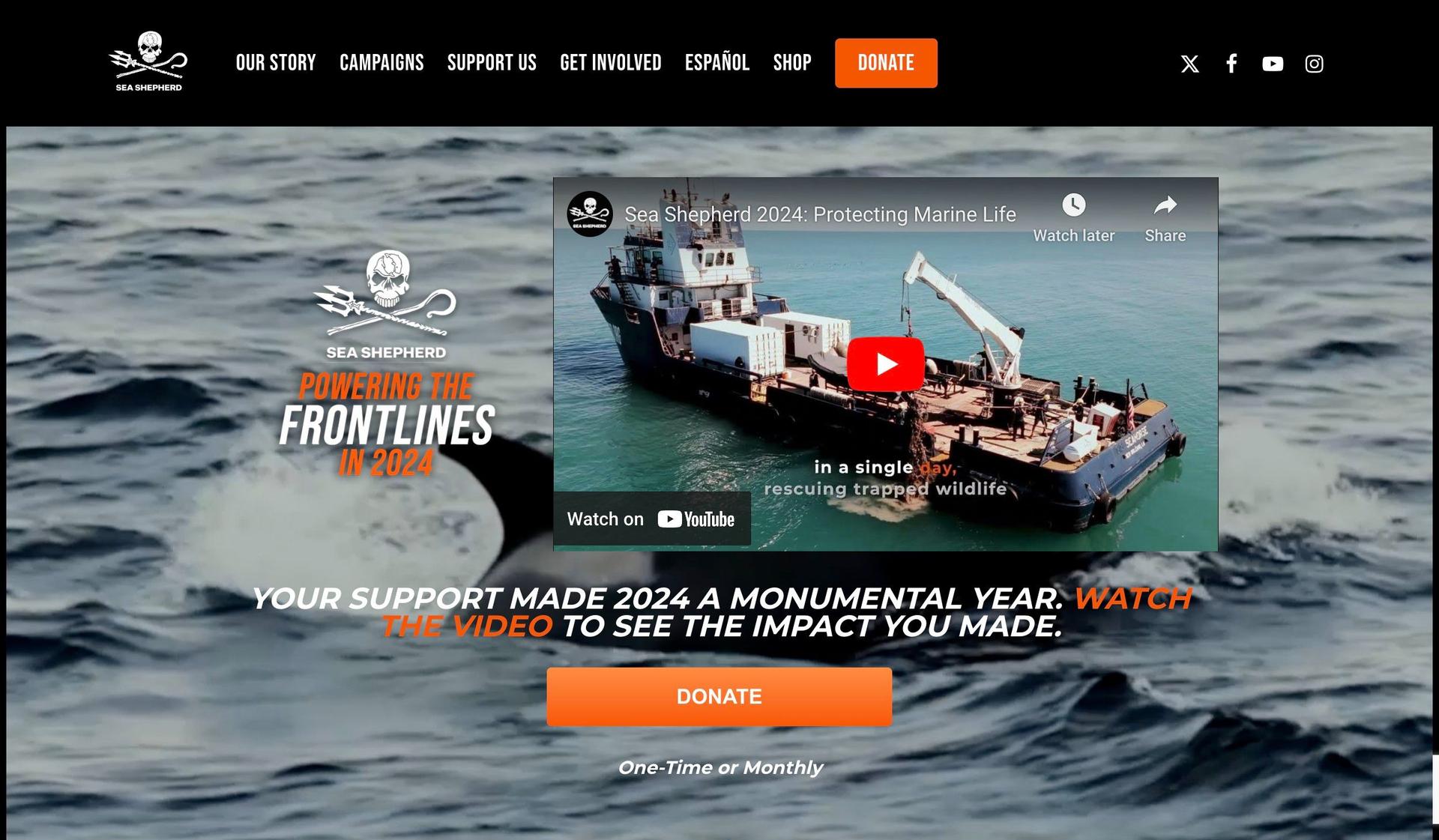 Sea Shepherd-marine website examples