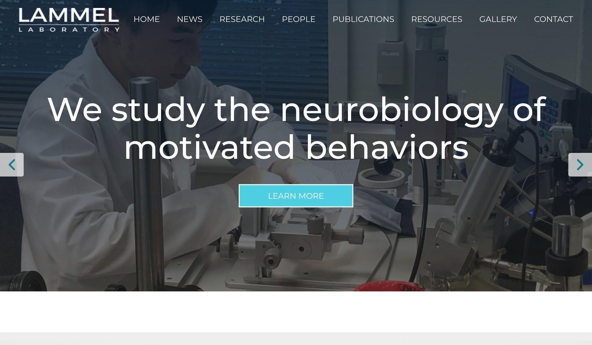 Lammel Lab-science website design examples