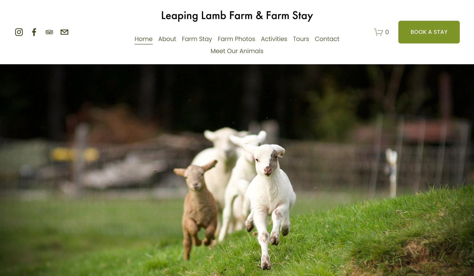 Leaping Lamb Farm-squarespace vacation rental websites