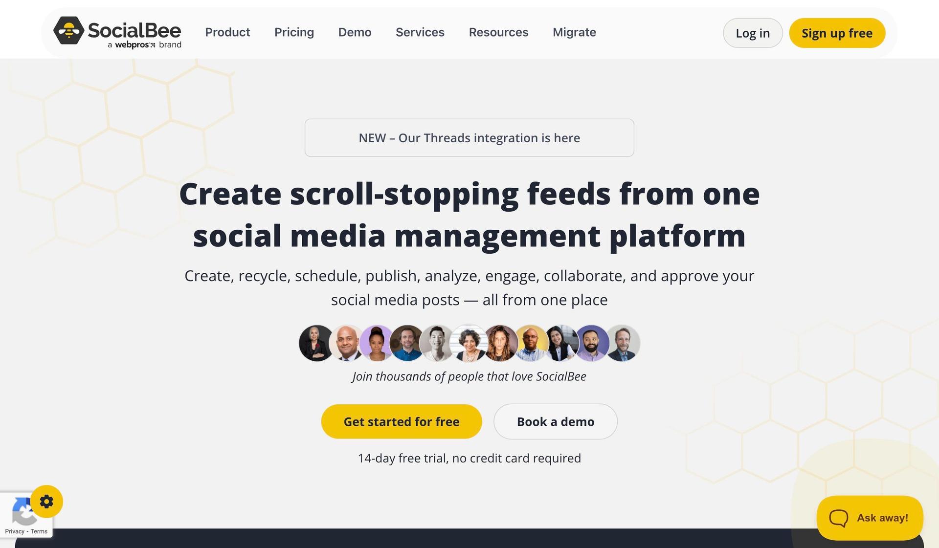 SocialBee-black and yellow websites