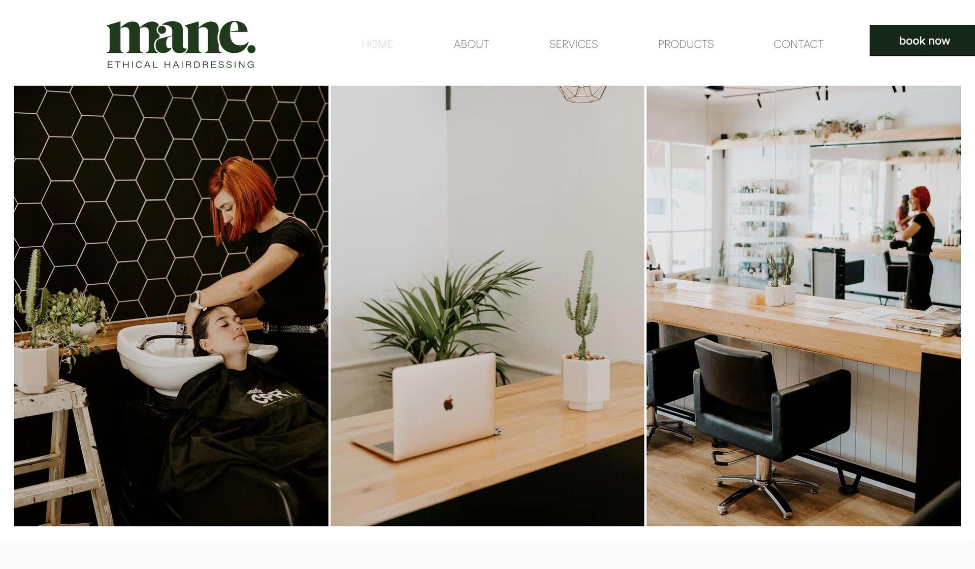 Mane Ethical-clean website design