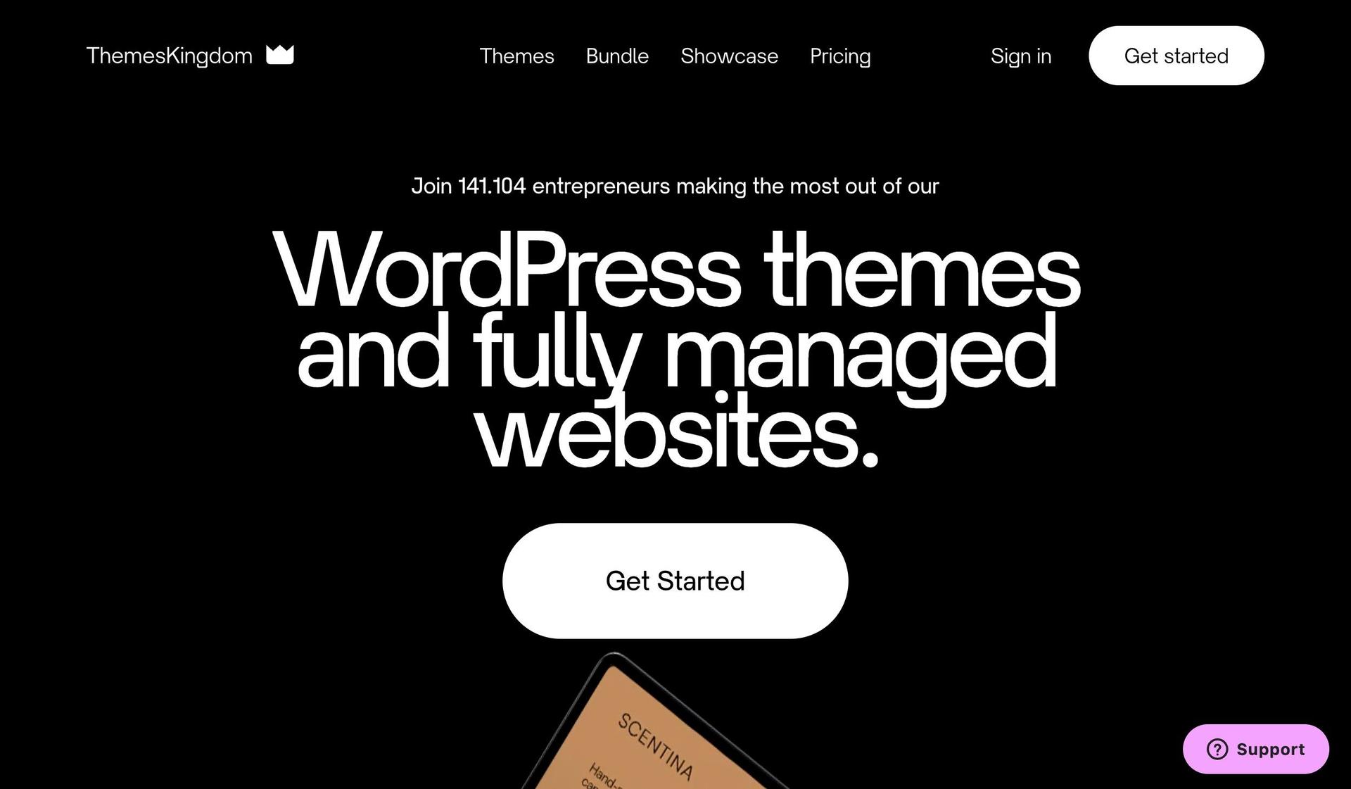 Themes Kingdom-clean website design