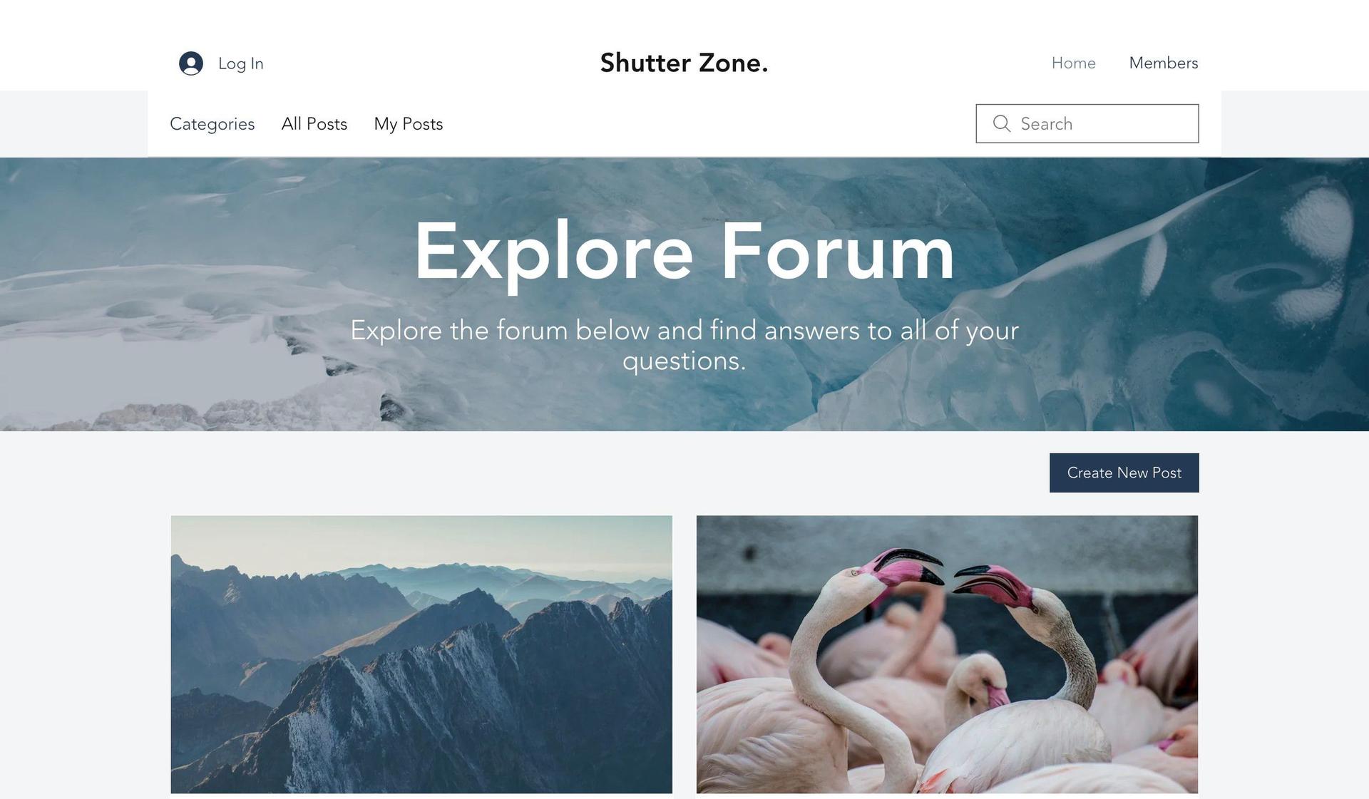 Photography Forum-wix forum examples