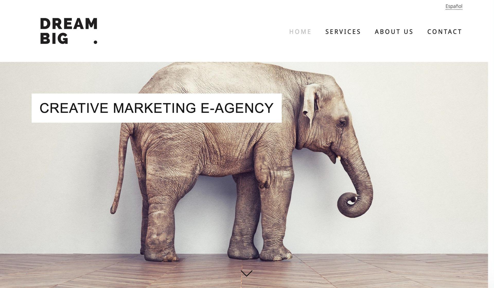 Agency Dream Big-multilingual website examples