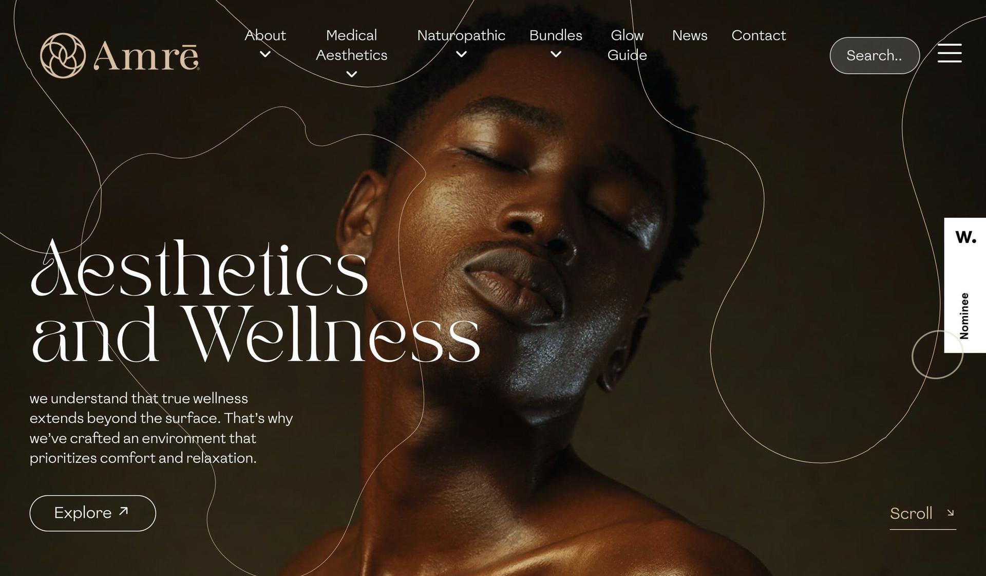 Amre Aesthetics Wellness-luxury websites