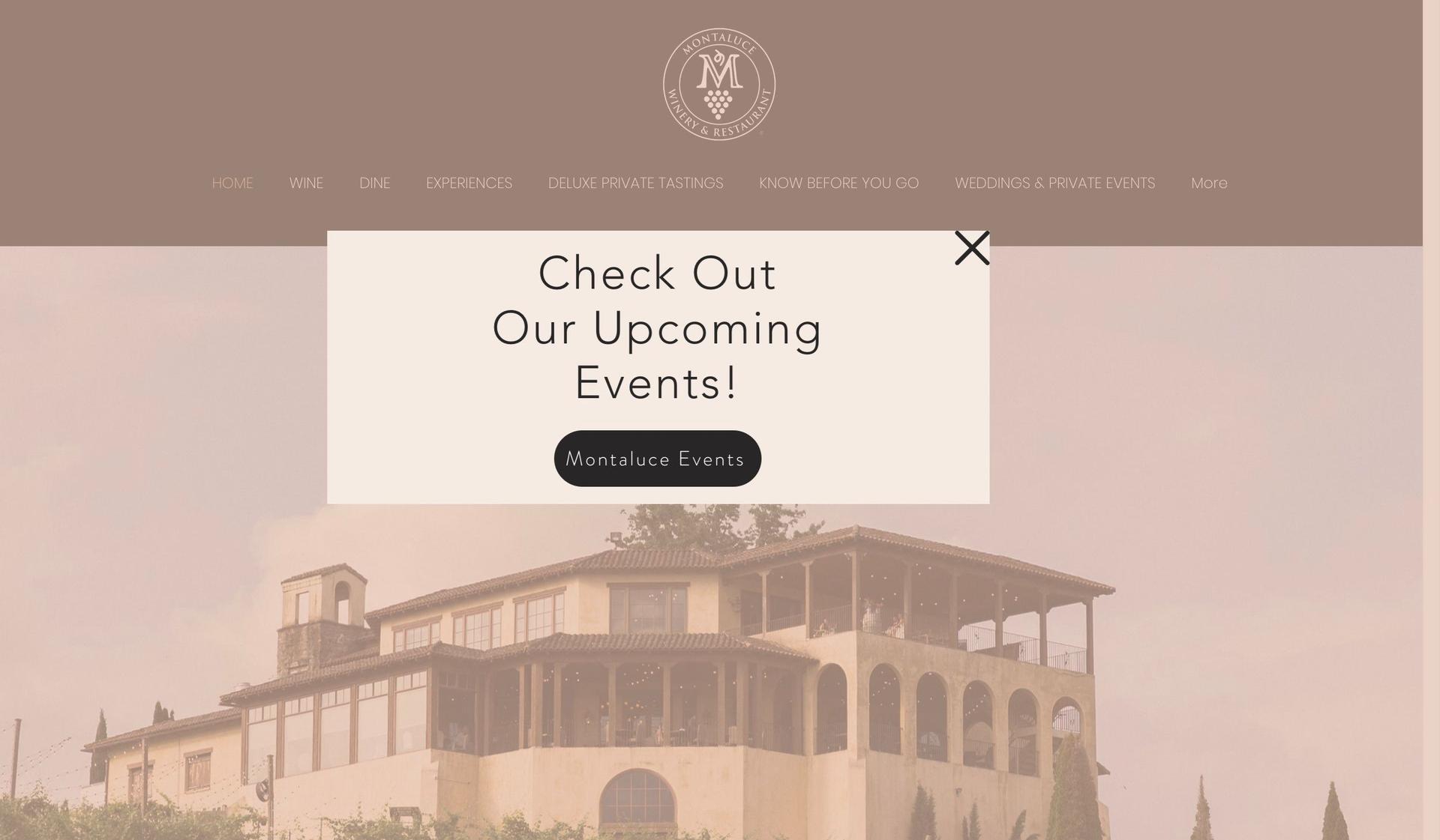 Montaluce-winery websites