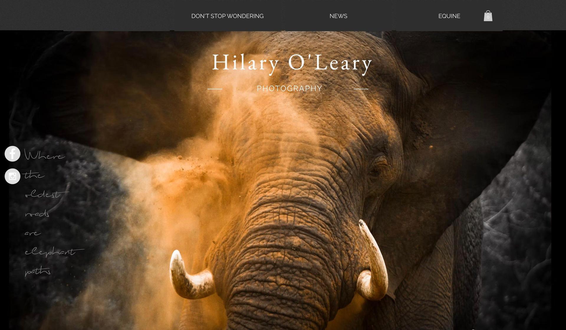 Hilary O'Leary-wix blog examples