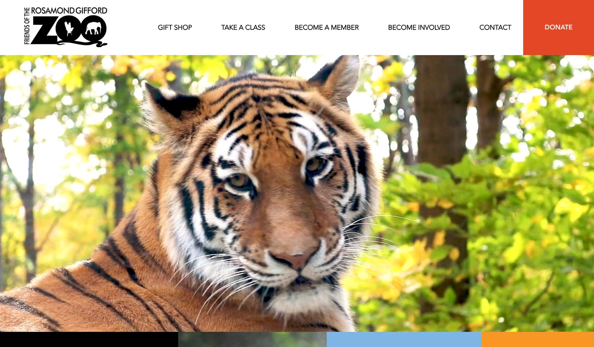 Syracuse Zoo Events-zoo website design examples