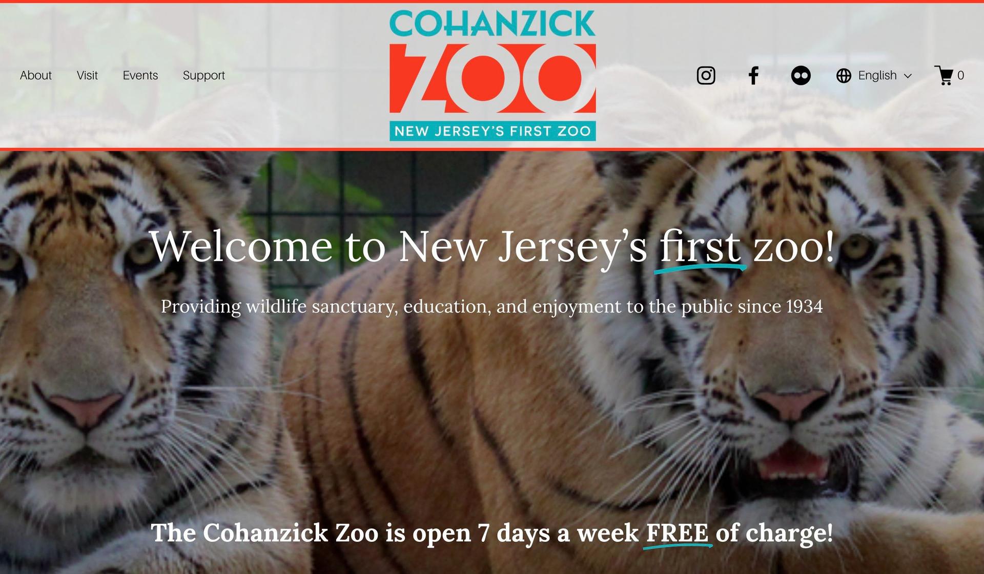 Cohanzick Zoo-zoo website design examples