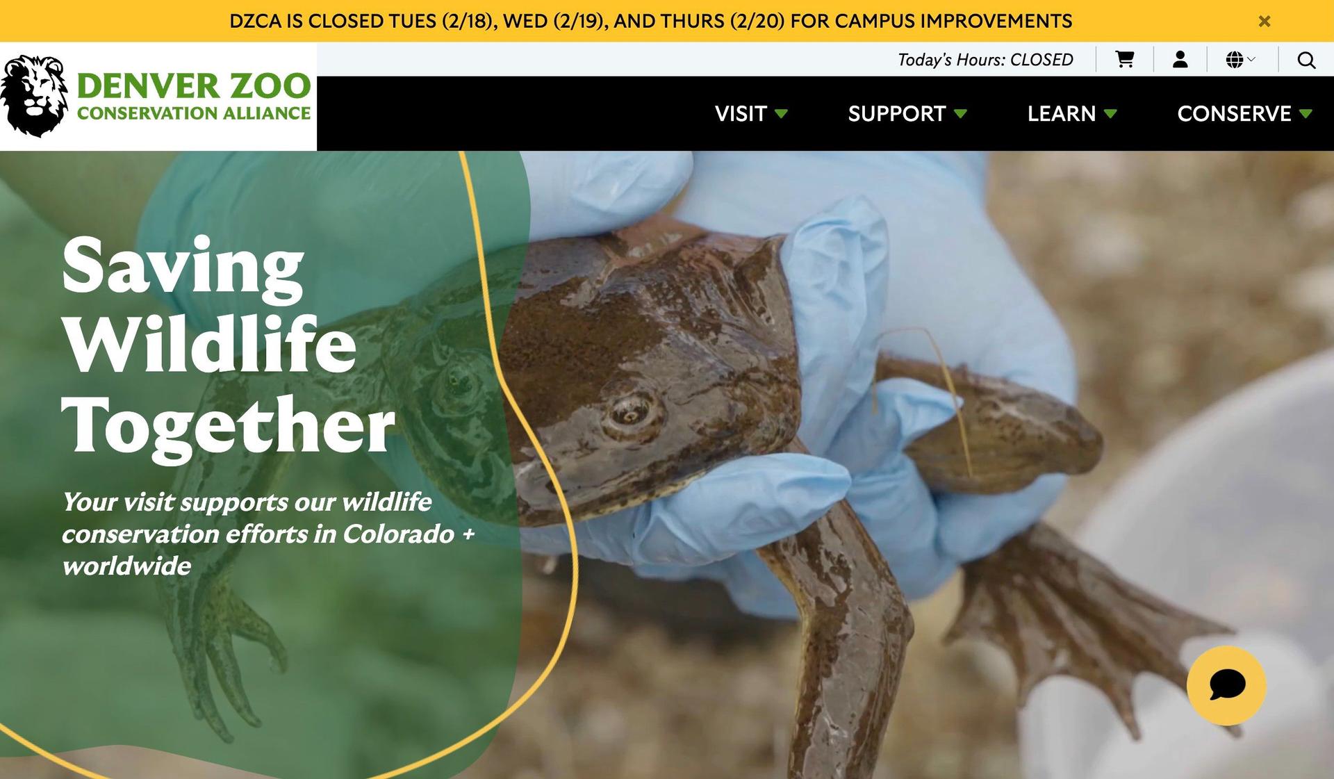 Denver Zoo-zoo website design examples