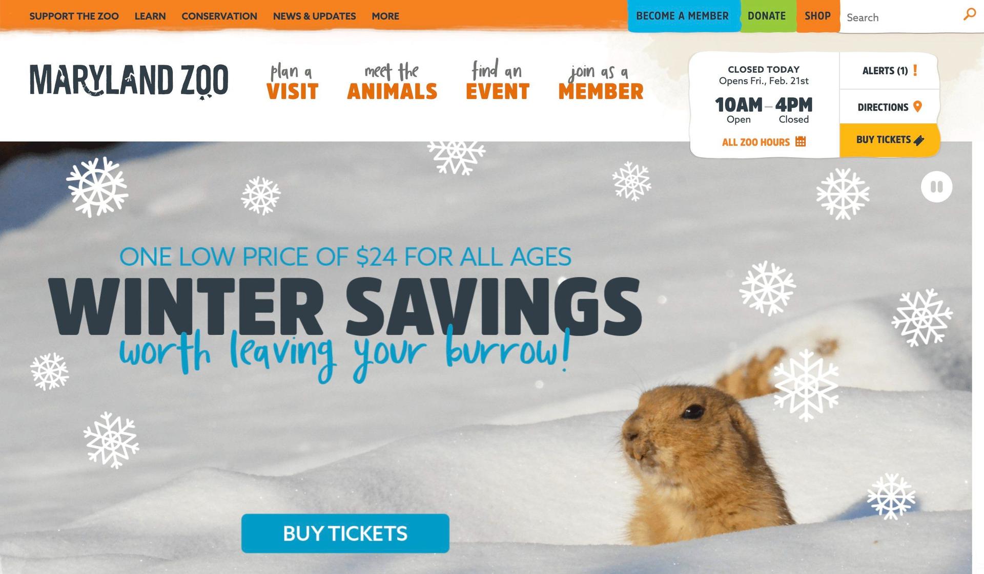 Maryland Zoo-zoo website design examples