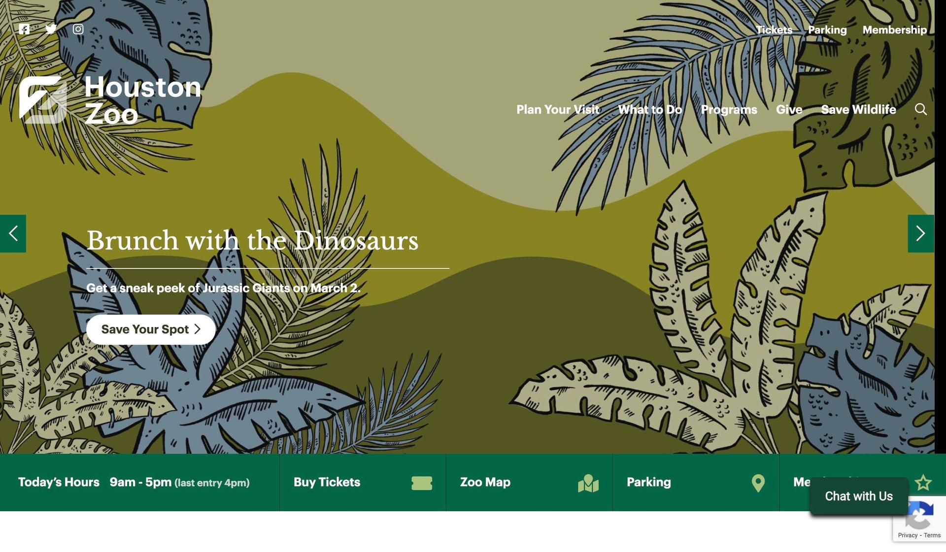 Houston Zoo-zoo website design examples