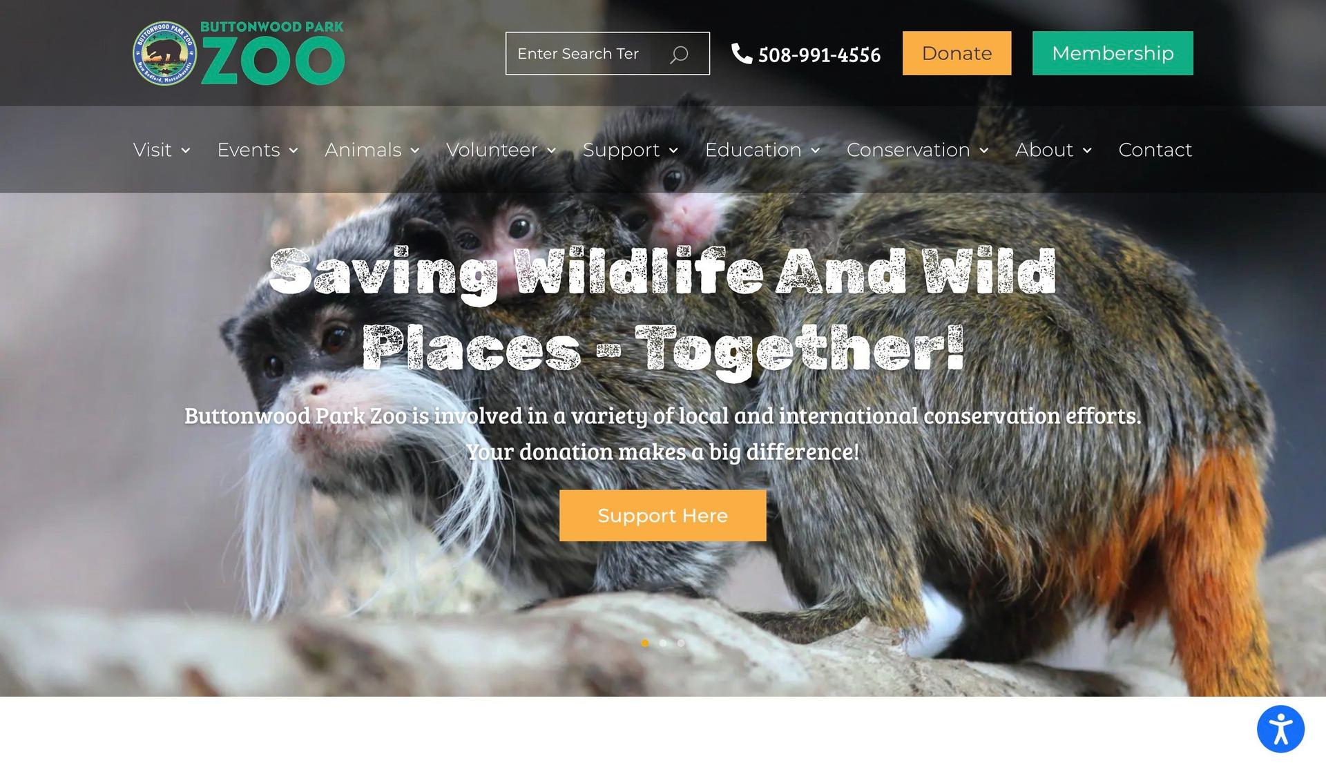 Buttonwood Park Zoo-zoo website design examples