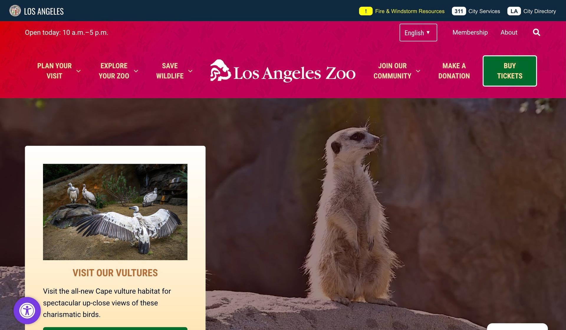 Los Angeles Zoo-zoo website design examples
