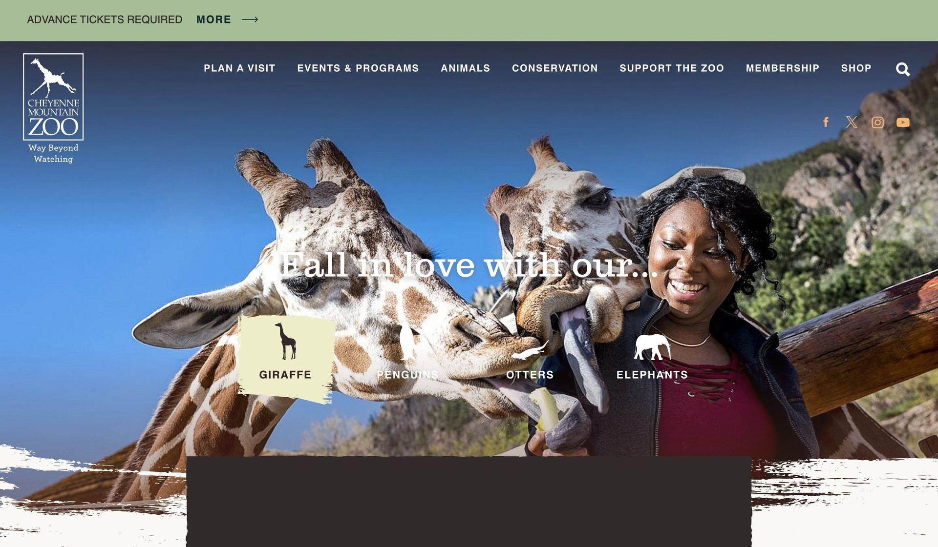 Cheyenne Mountain Zoo-zoo website design examples