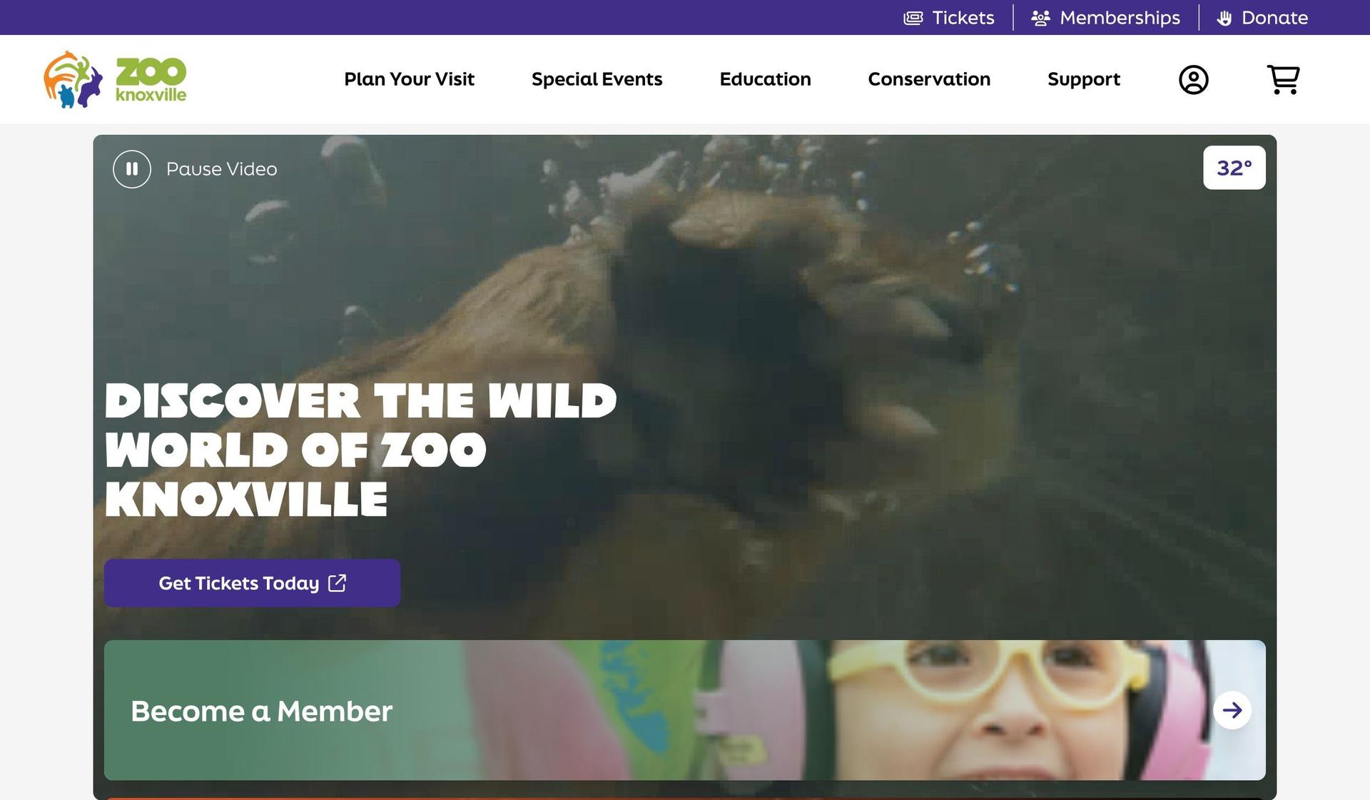 Zoo Knoxville-zoo website design examples