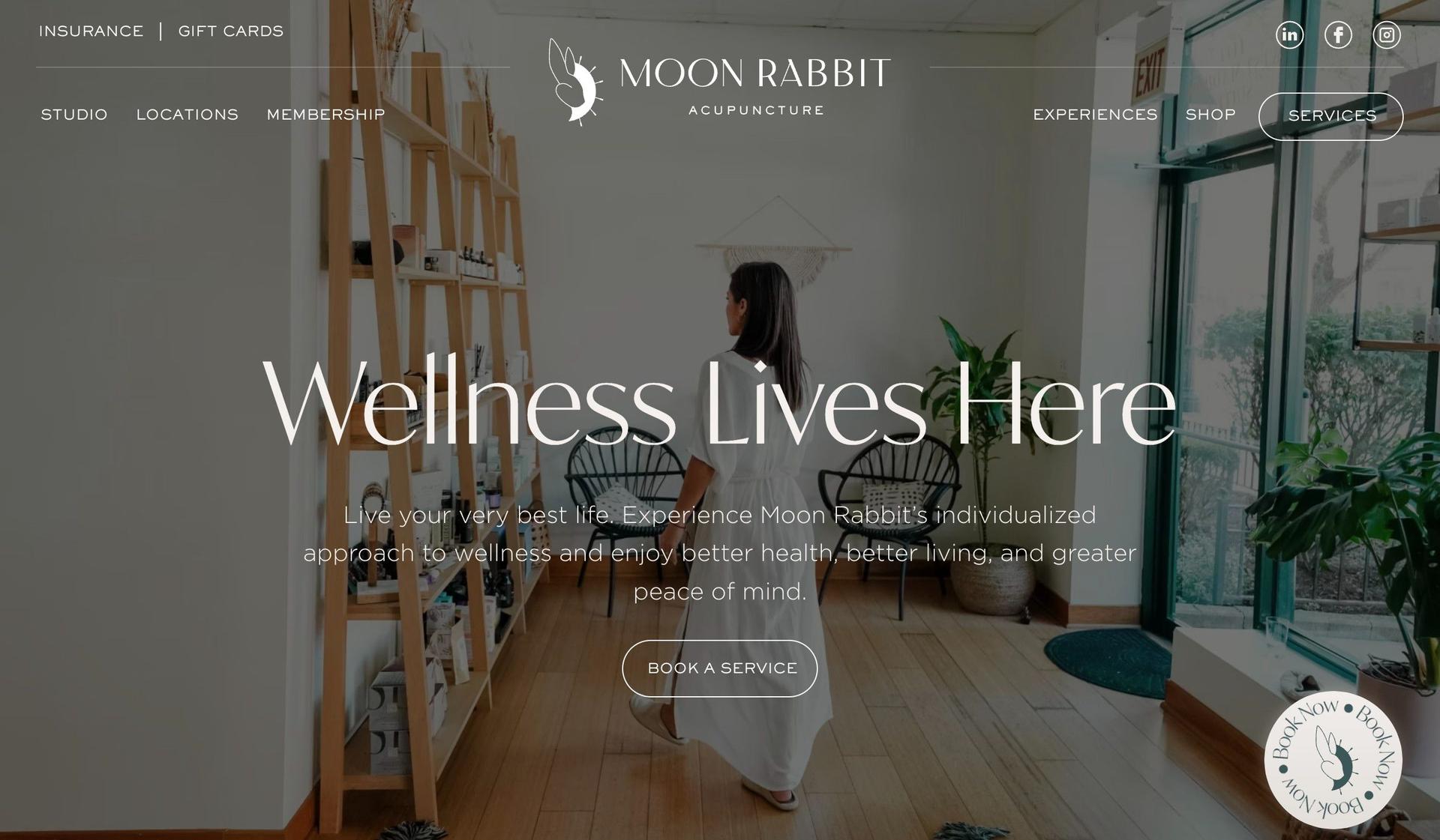 Moon Rabbit Acupuncture-responsive web design examples