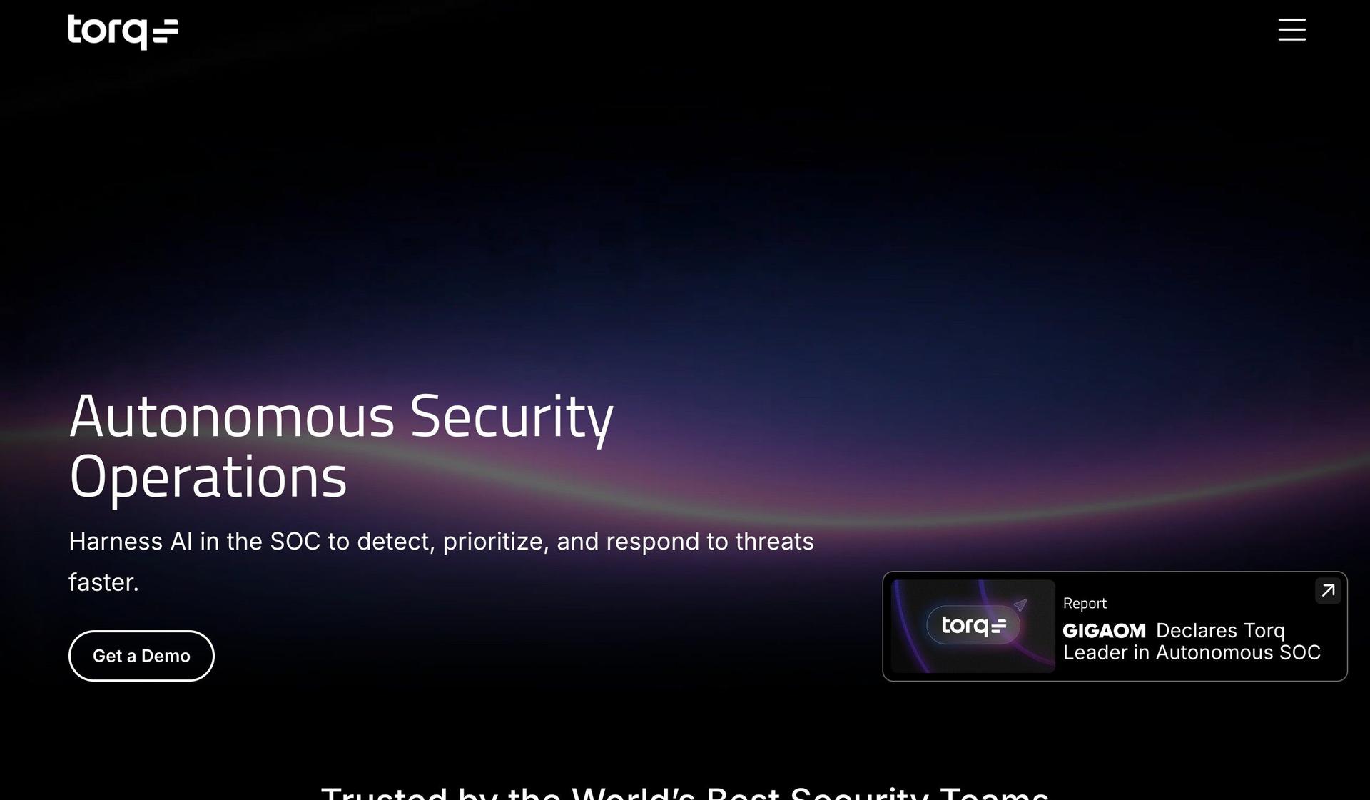 Torq-cybersecurity websites