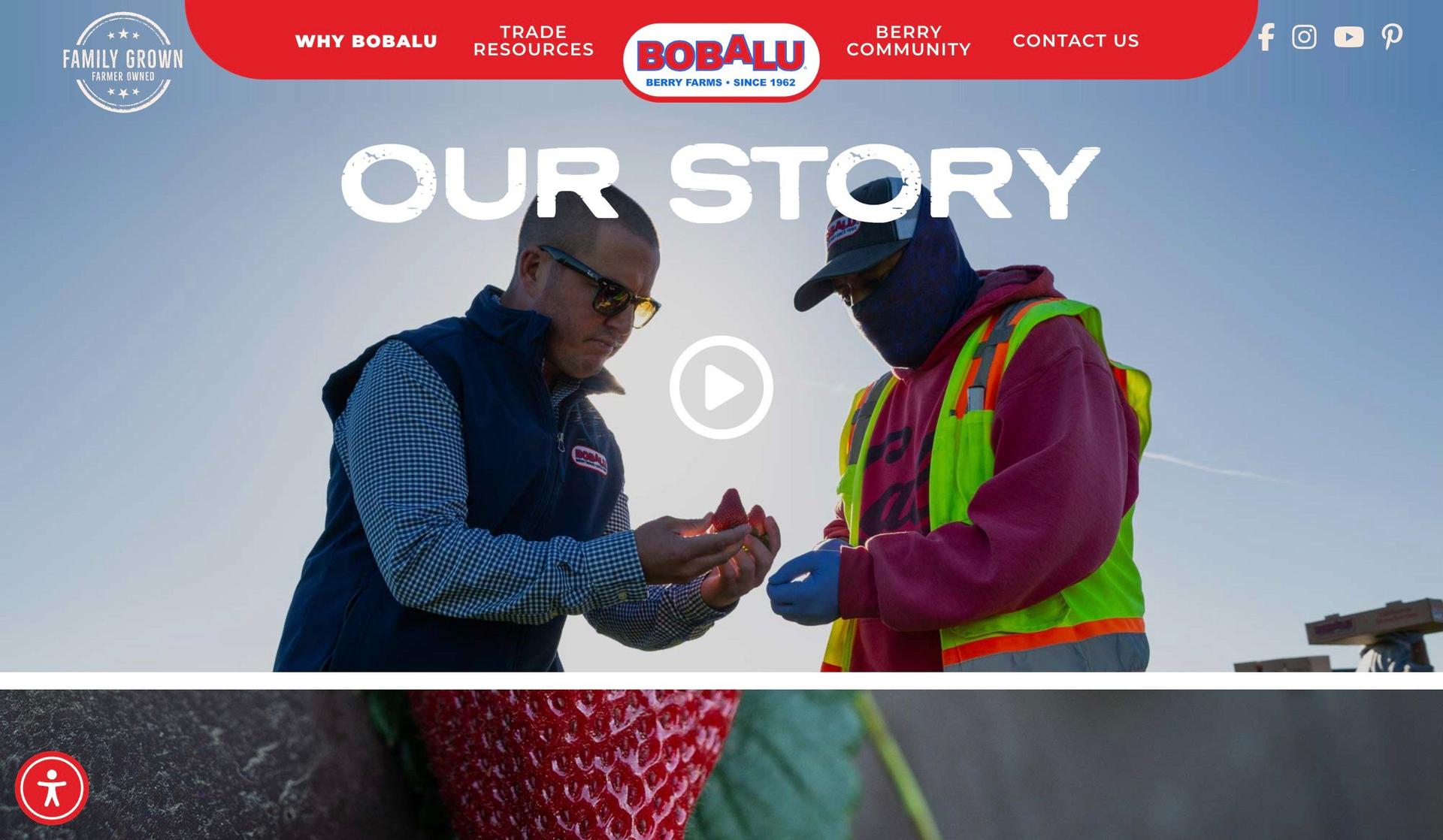 Bobalu Berries-website timeline examples