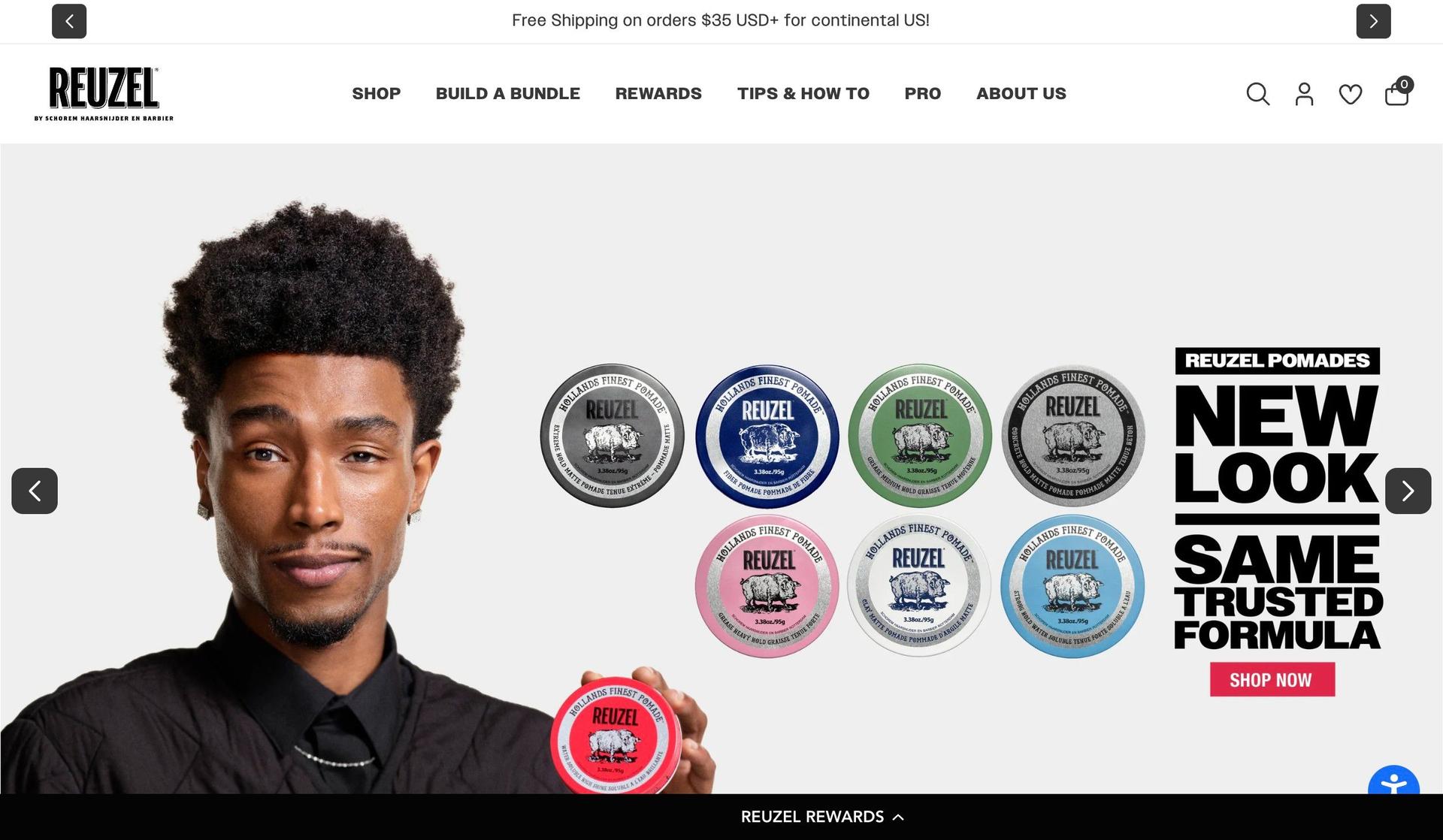 Reuzel-examples of accessible websites