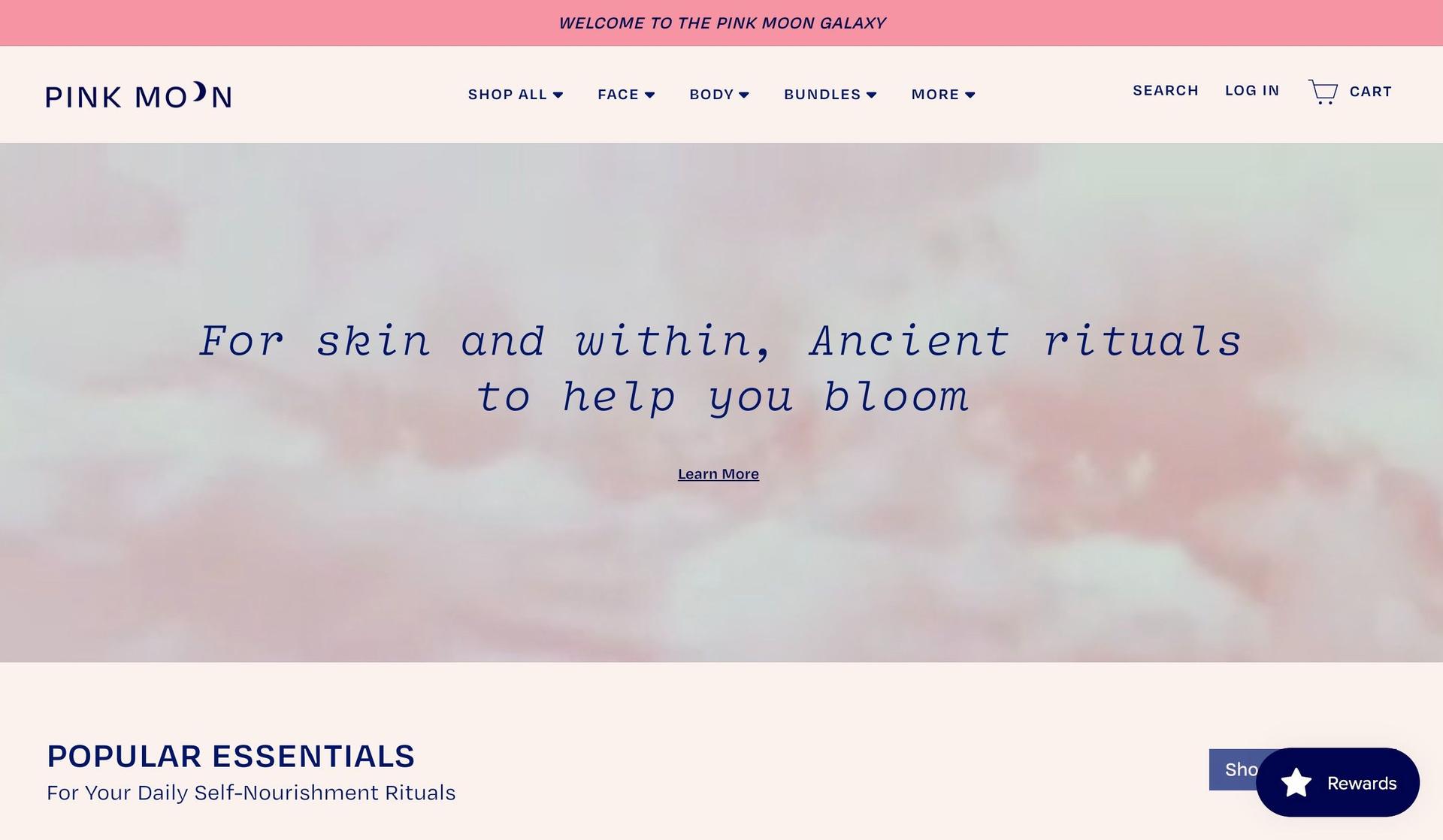 Pink Moon-examples of accessible websites