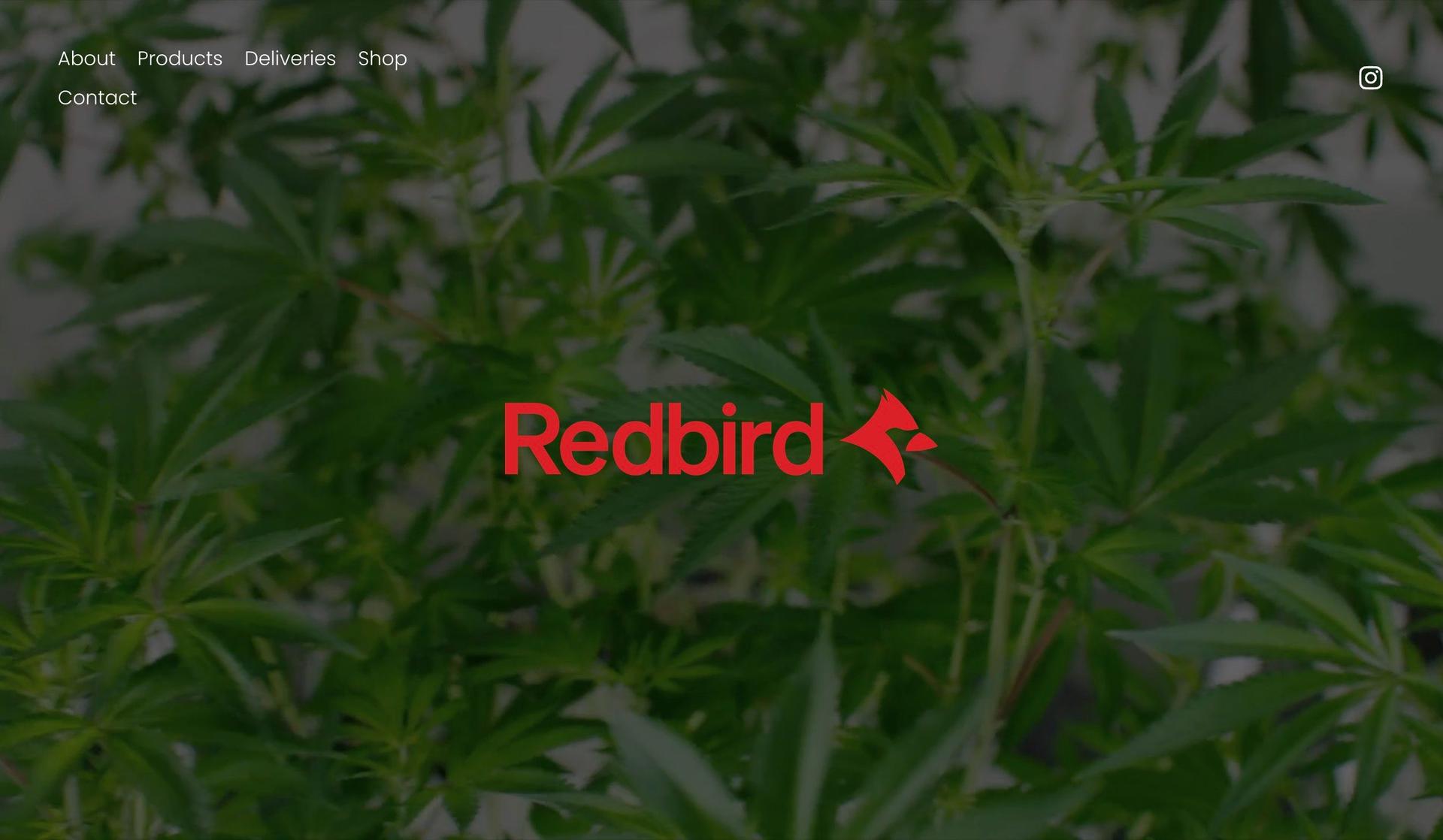 Redbird Cannabis-cannabis website design