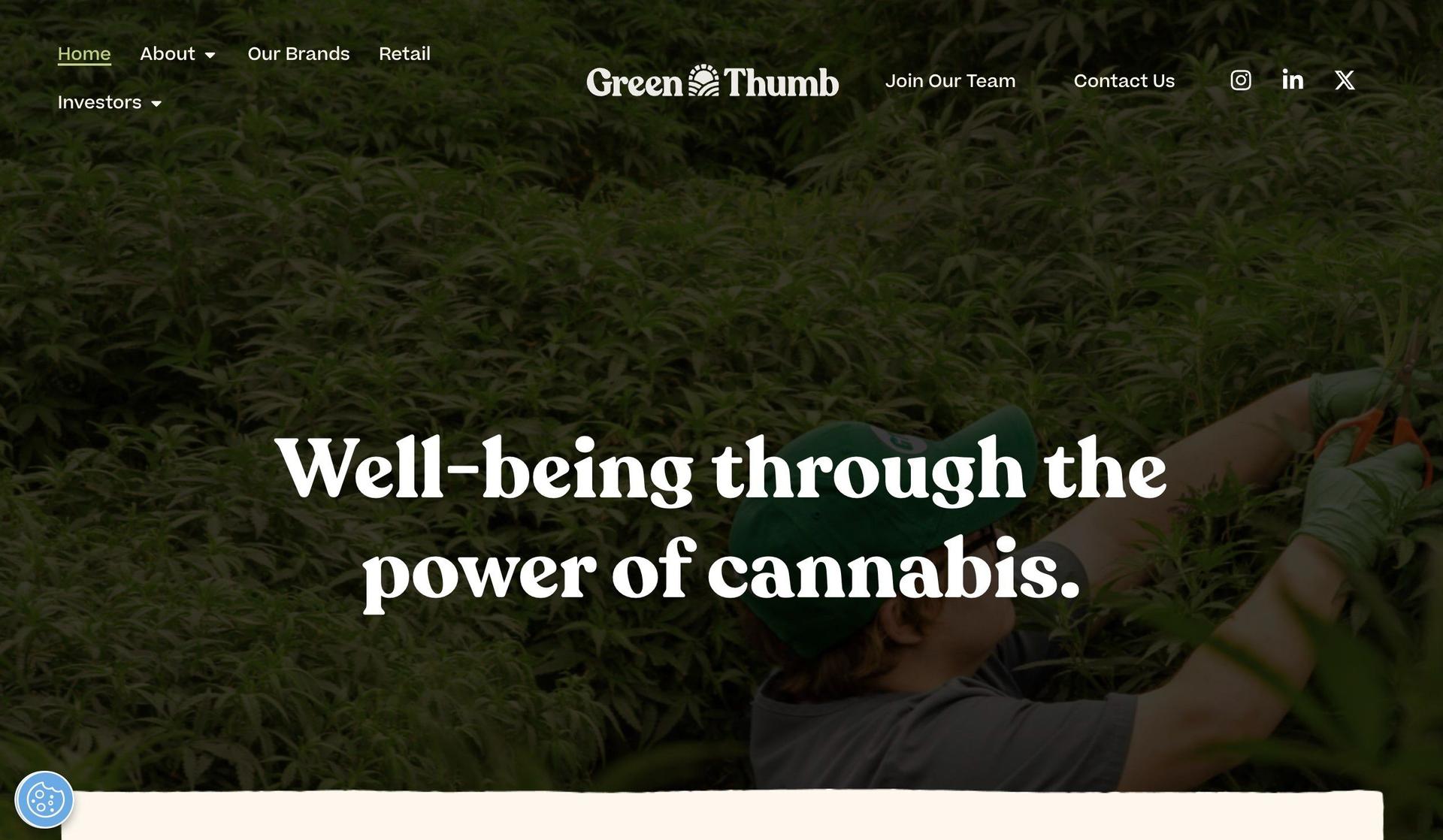 GTI Grows-cannabis website design