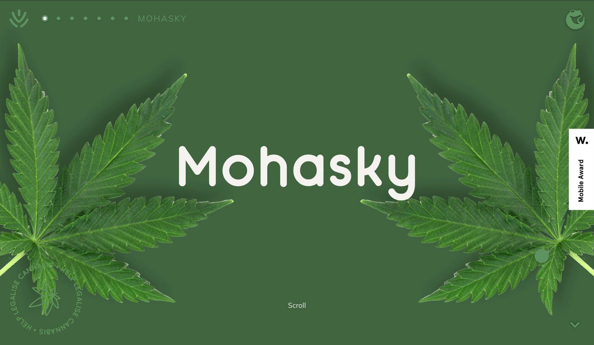 Mohasky-cannabis website design