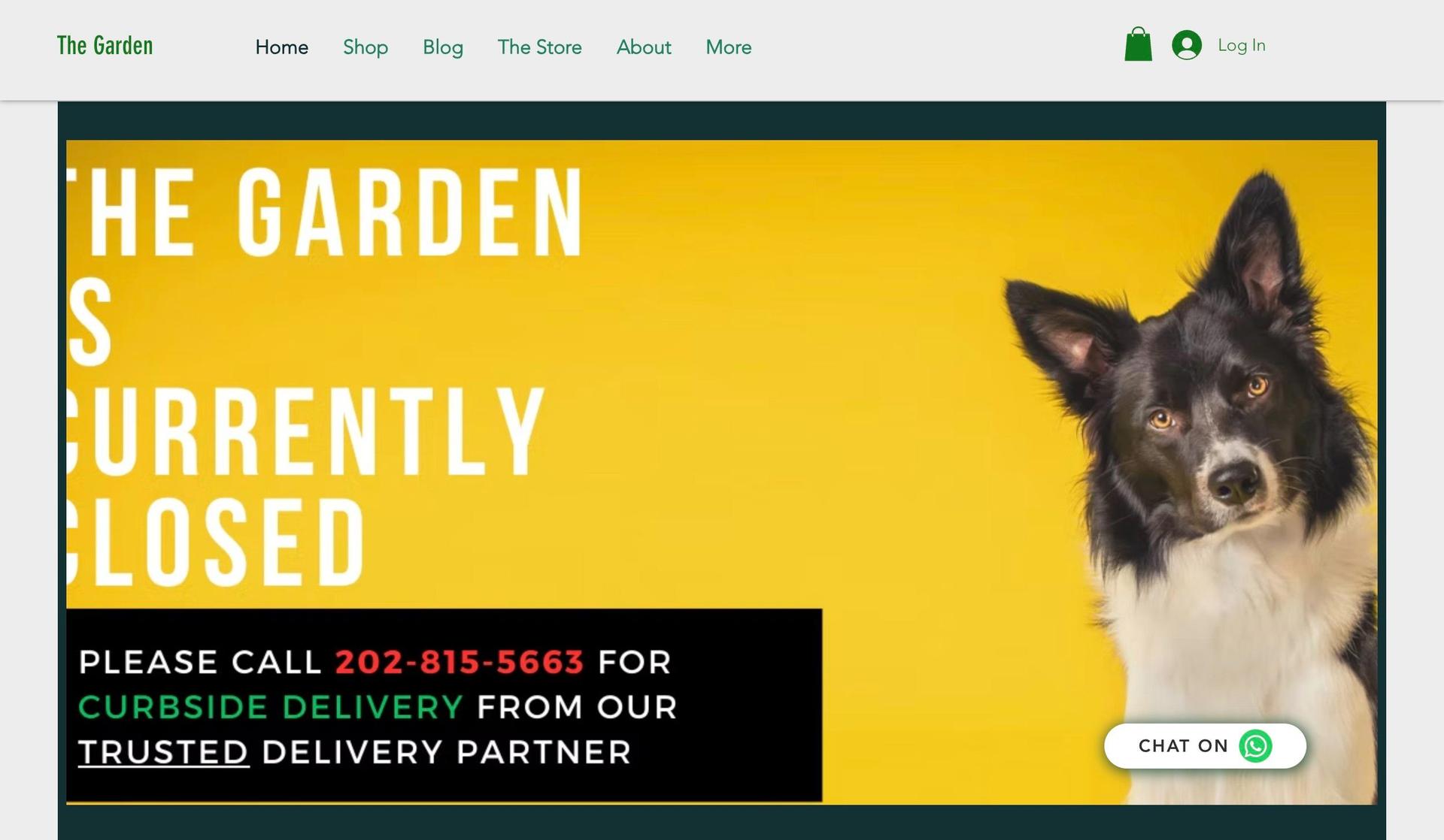 DC The Garden-cannabis website design