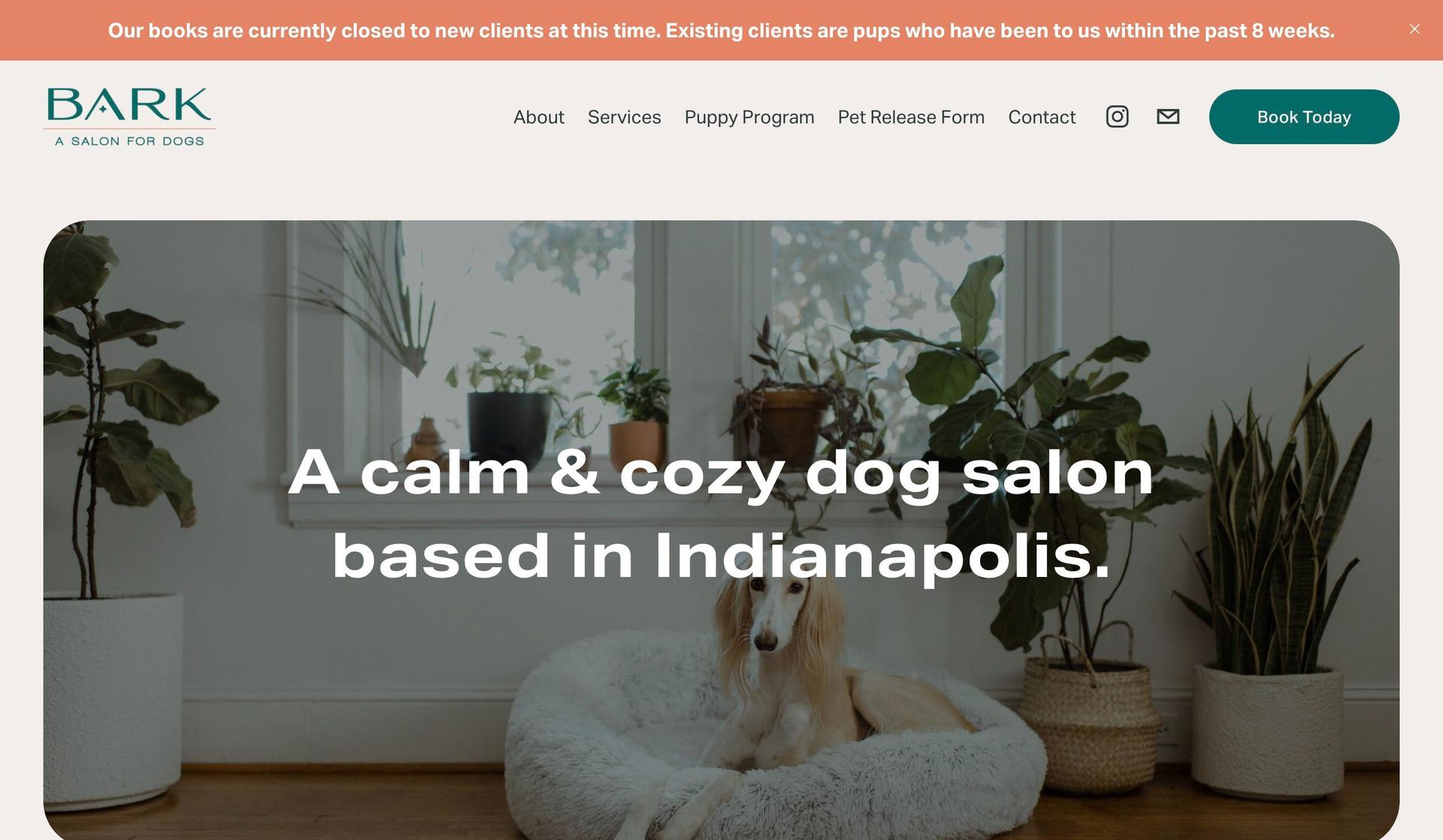 Barka Salon-dog grooming websites