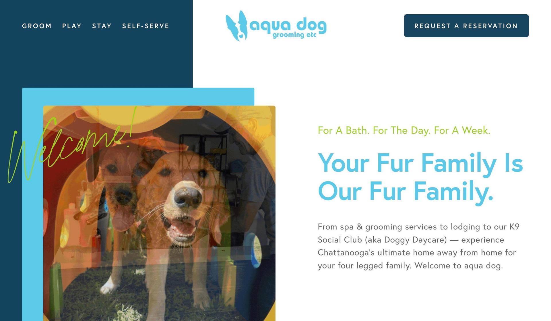 Aqua Dog Grooming-dog grooming websites