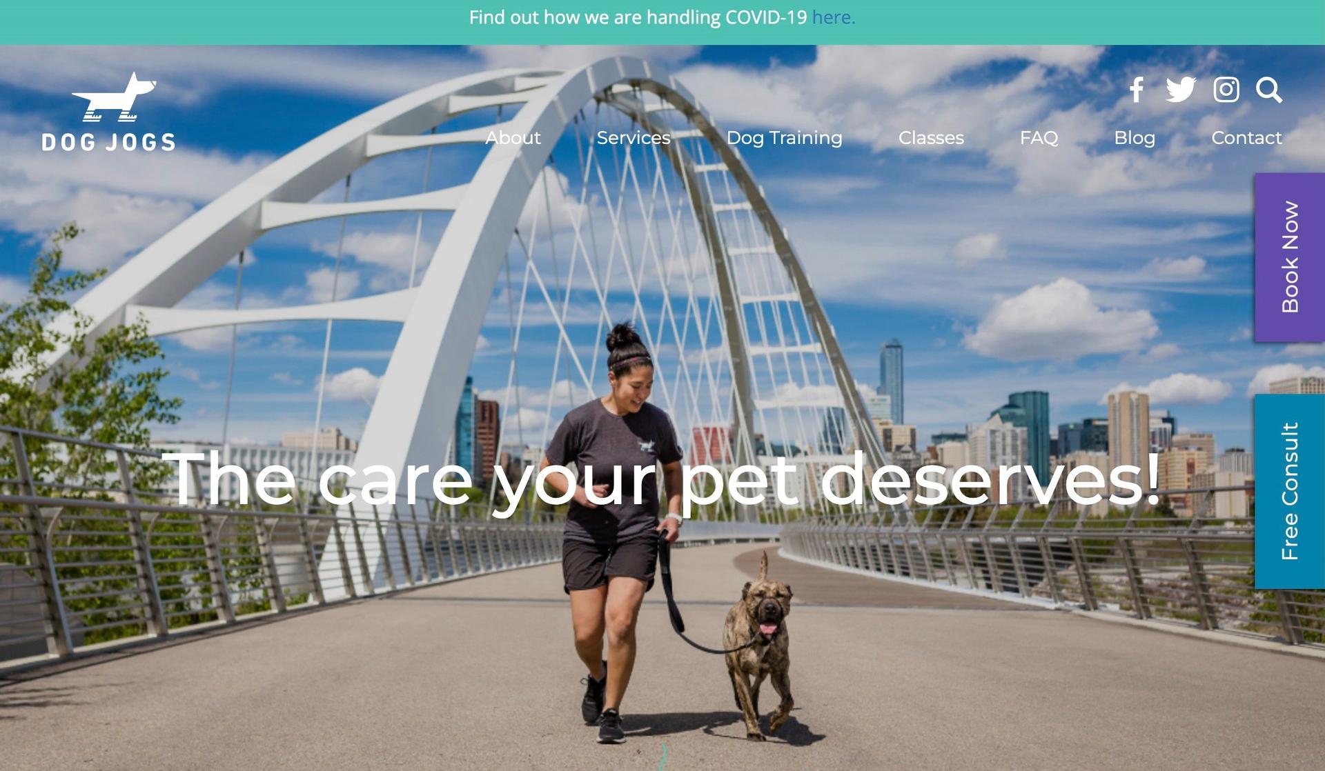 Dog Jogs-dog grooming websites
