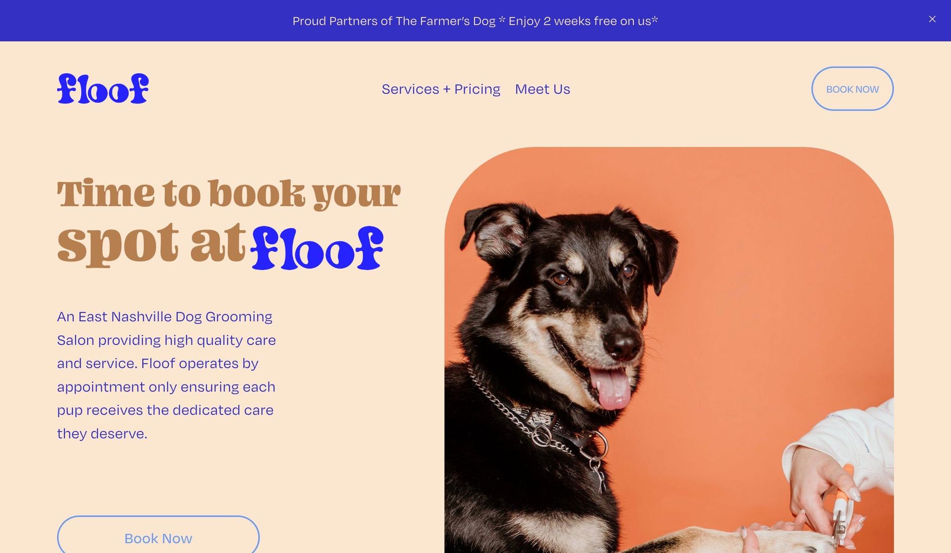 Floof Nashville-dog grooming websites