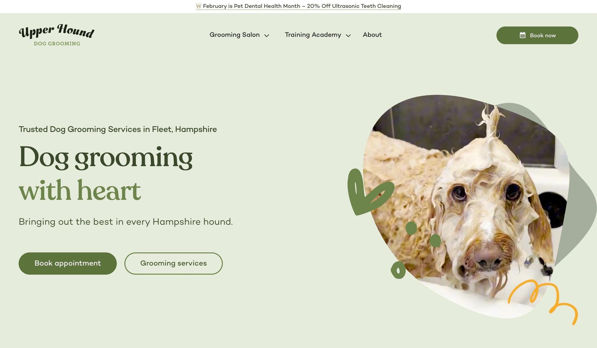 Upper Hound-dog grooming websites