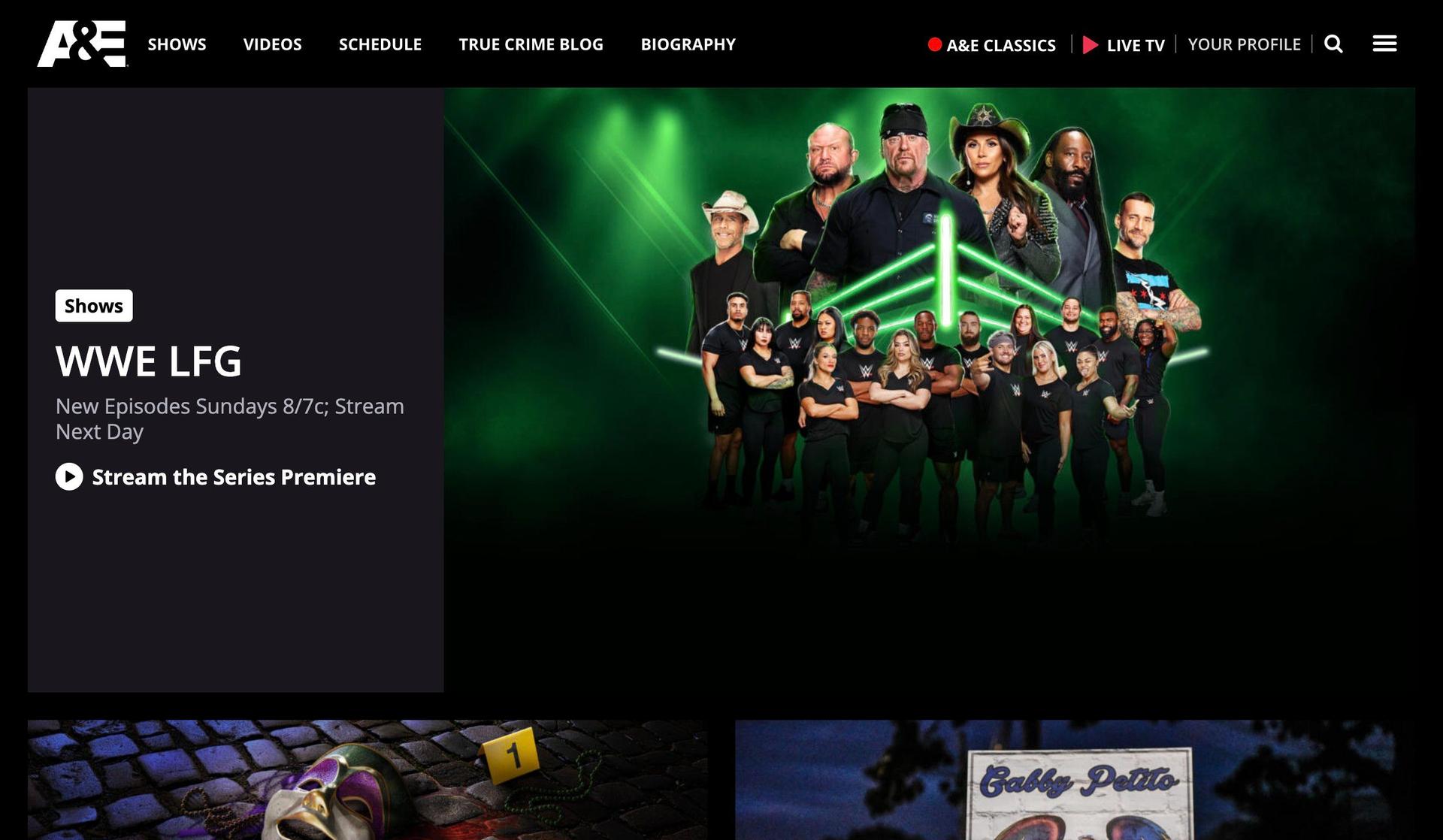 A&E TV-entertainment website examples