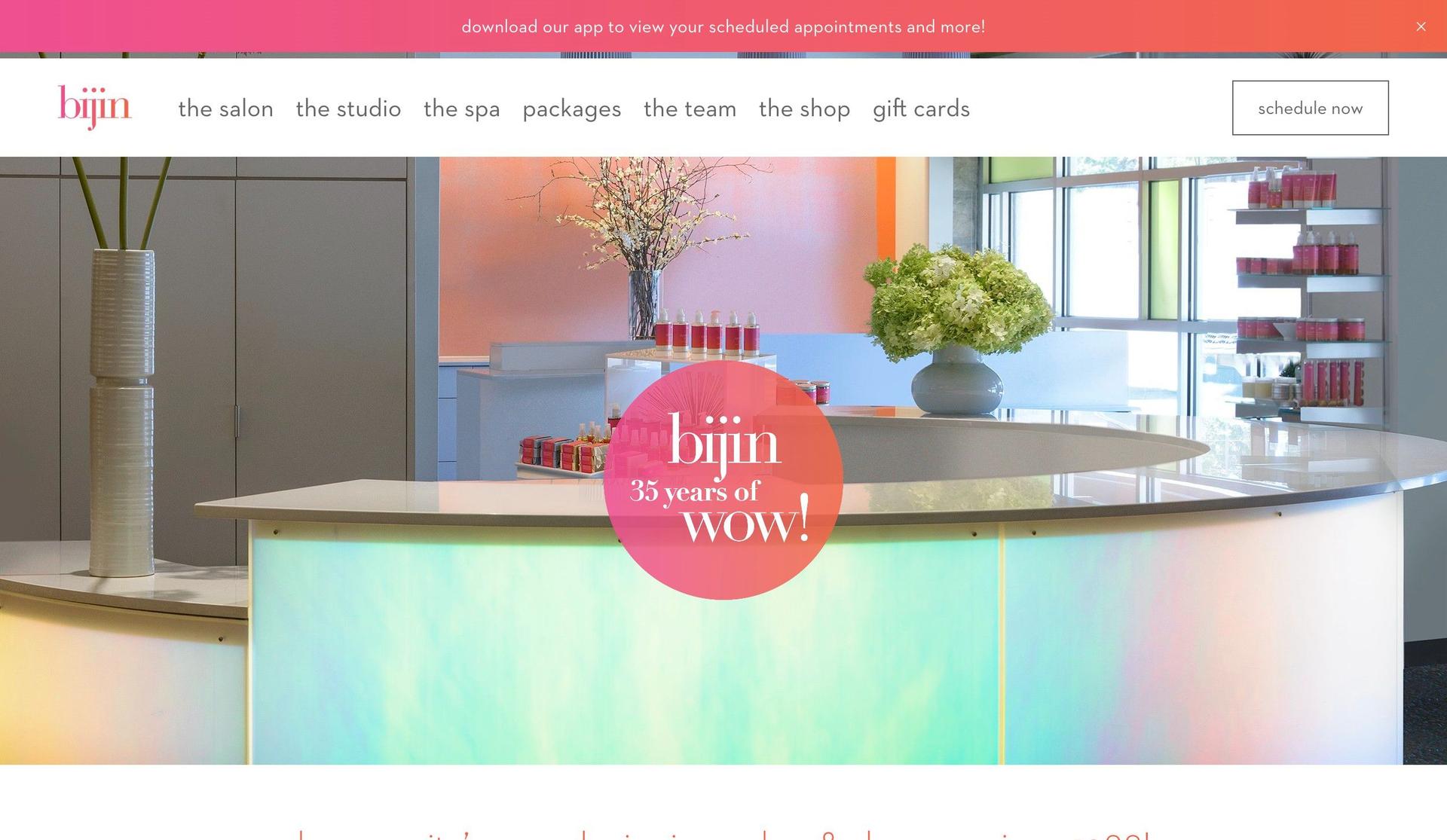 Bijin Salon-hair salon websites
