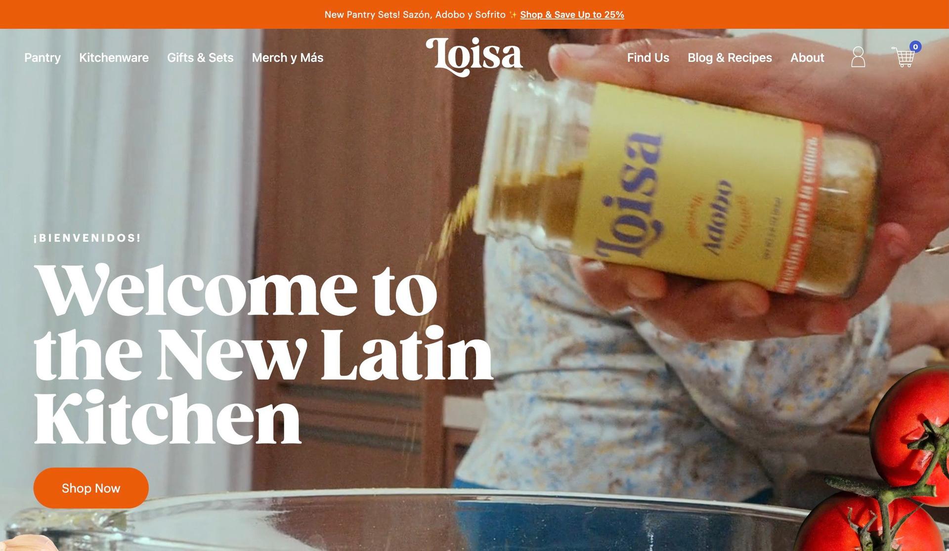 Loisa-homepage design examples