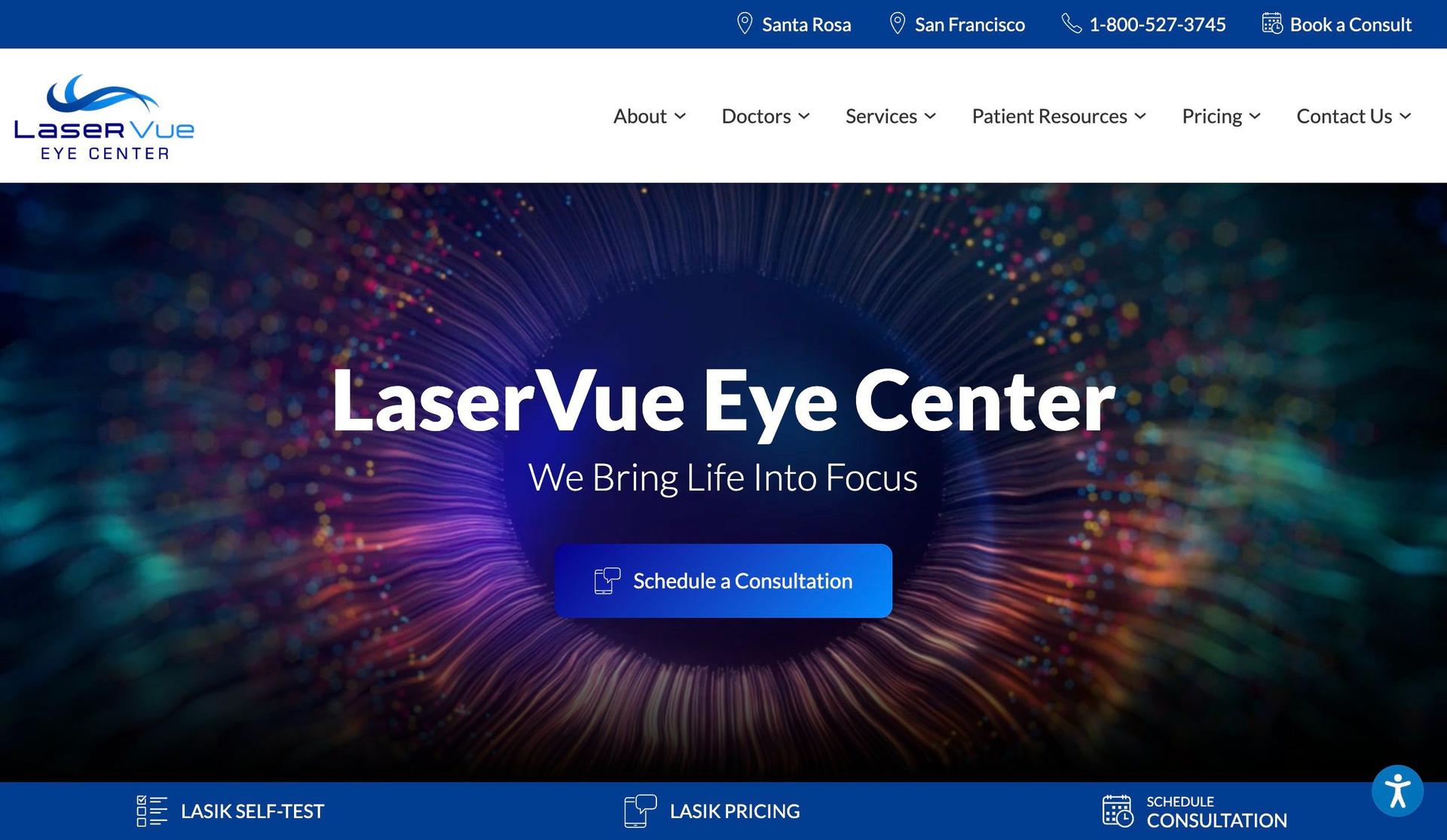 LaserVue-examples of accessible websites