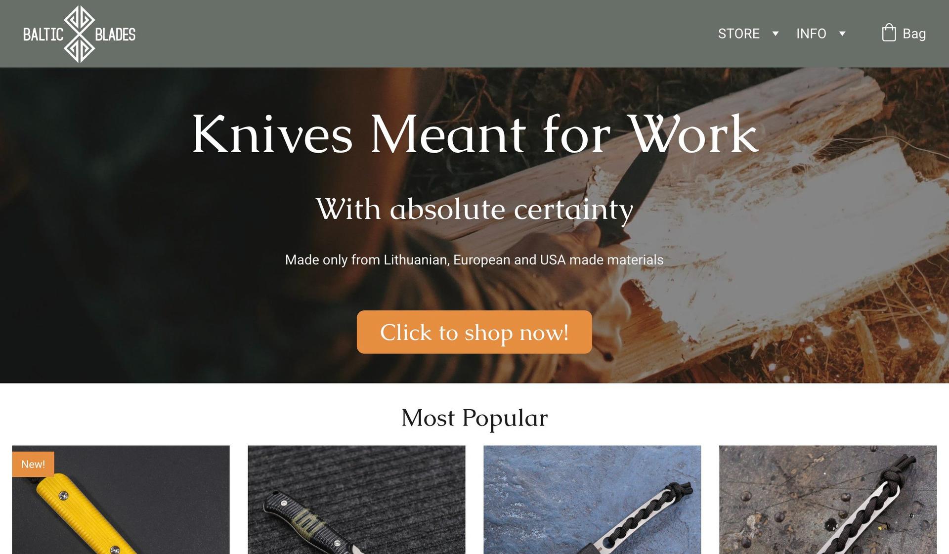 Baltic Blades-hostinger website examples
