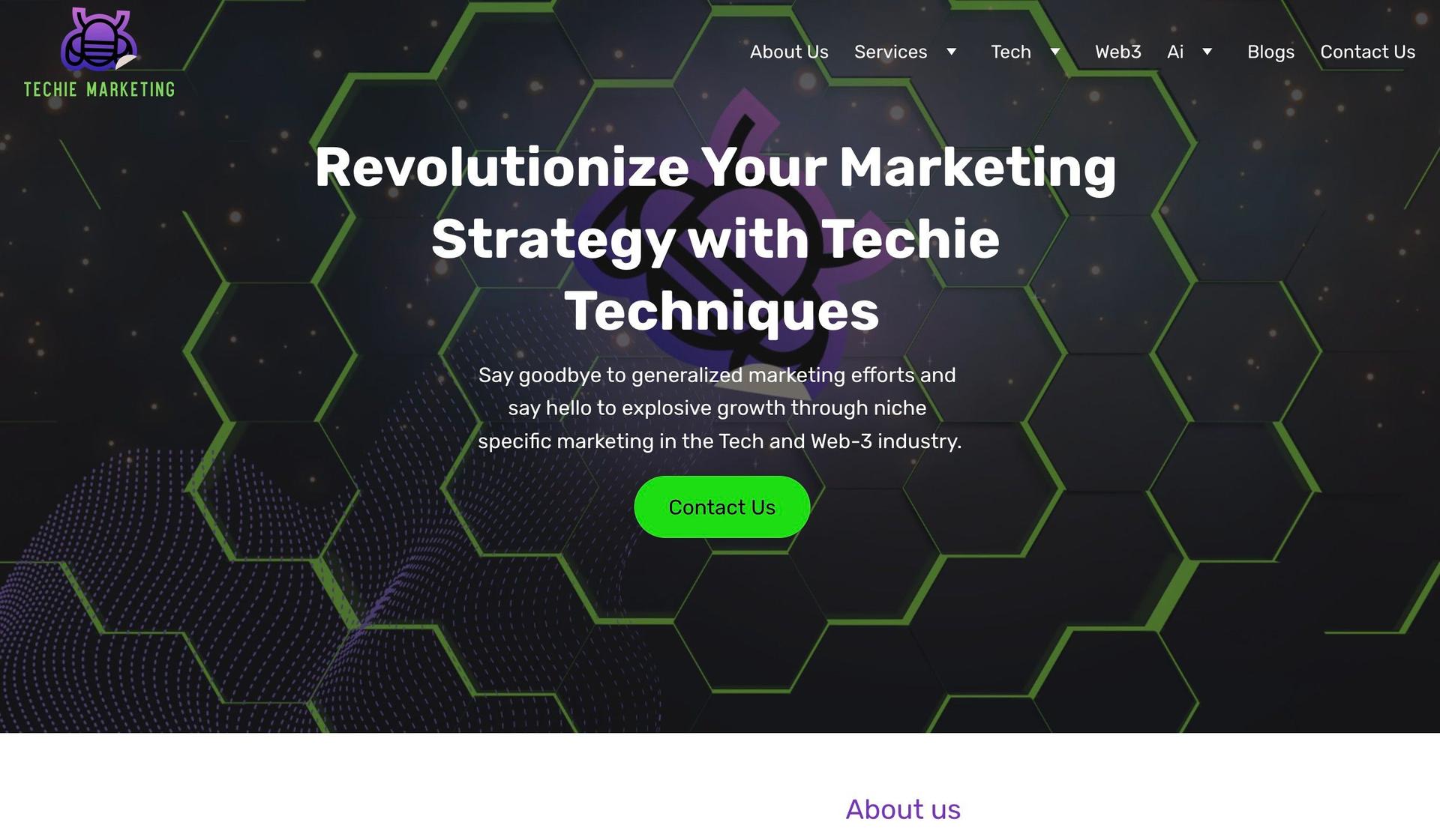 Techie Marketing-hostinger website examples