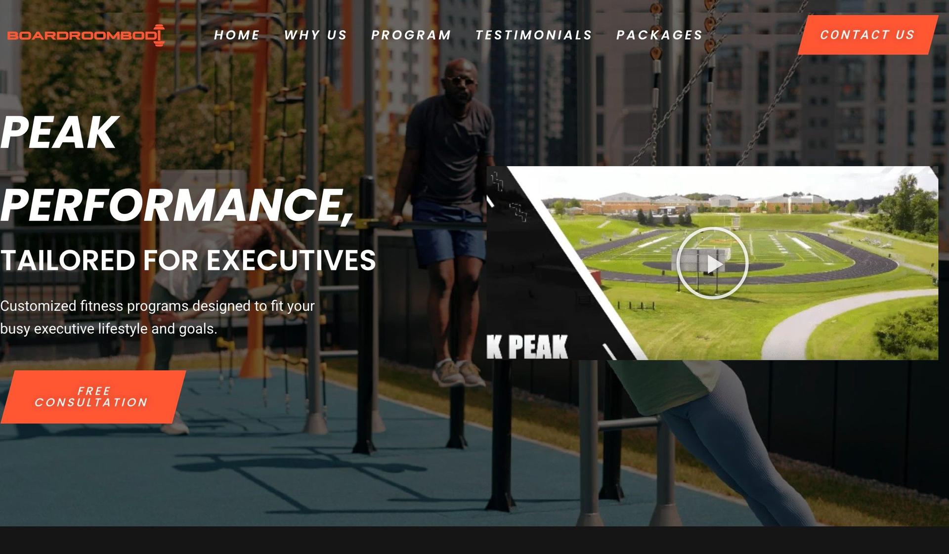 Boardroom Bodi-bluehost websites