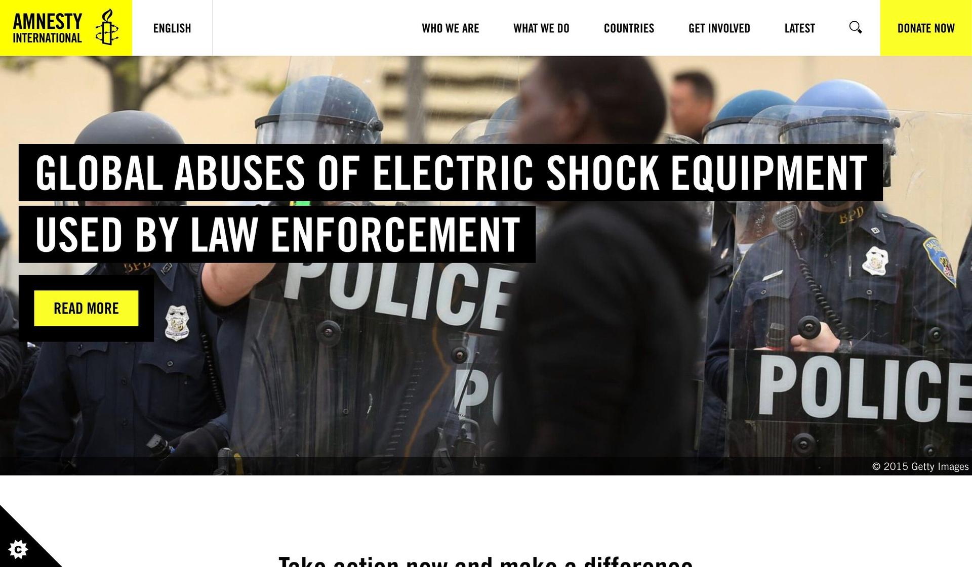 Amnesty International-+wordpress website examples+