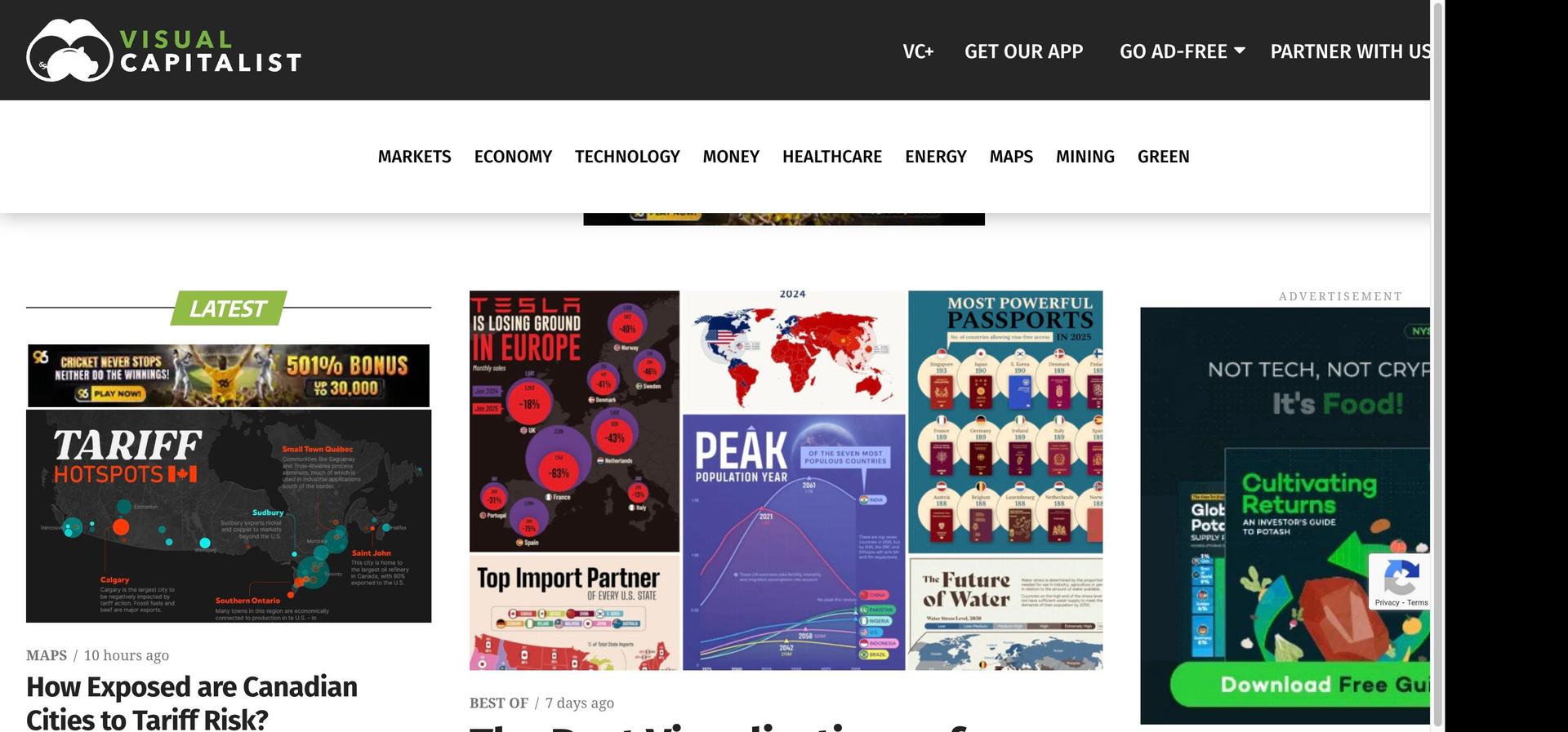 Visual Capitalist-+wordpress website examples+
