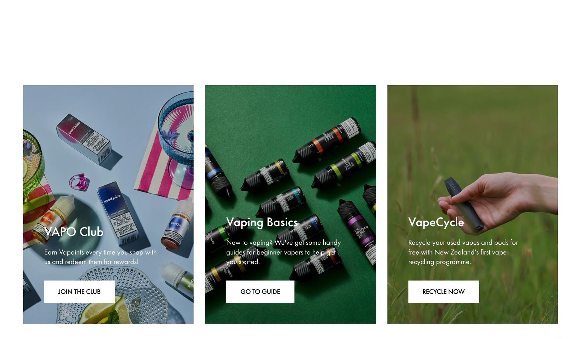 Vapo-+smoke shop website examples+