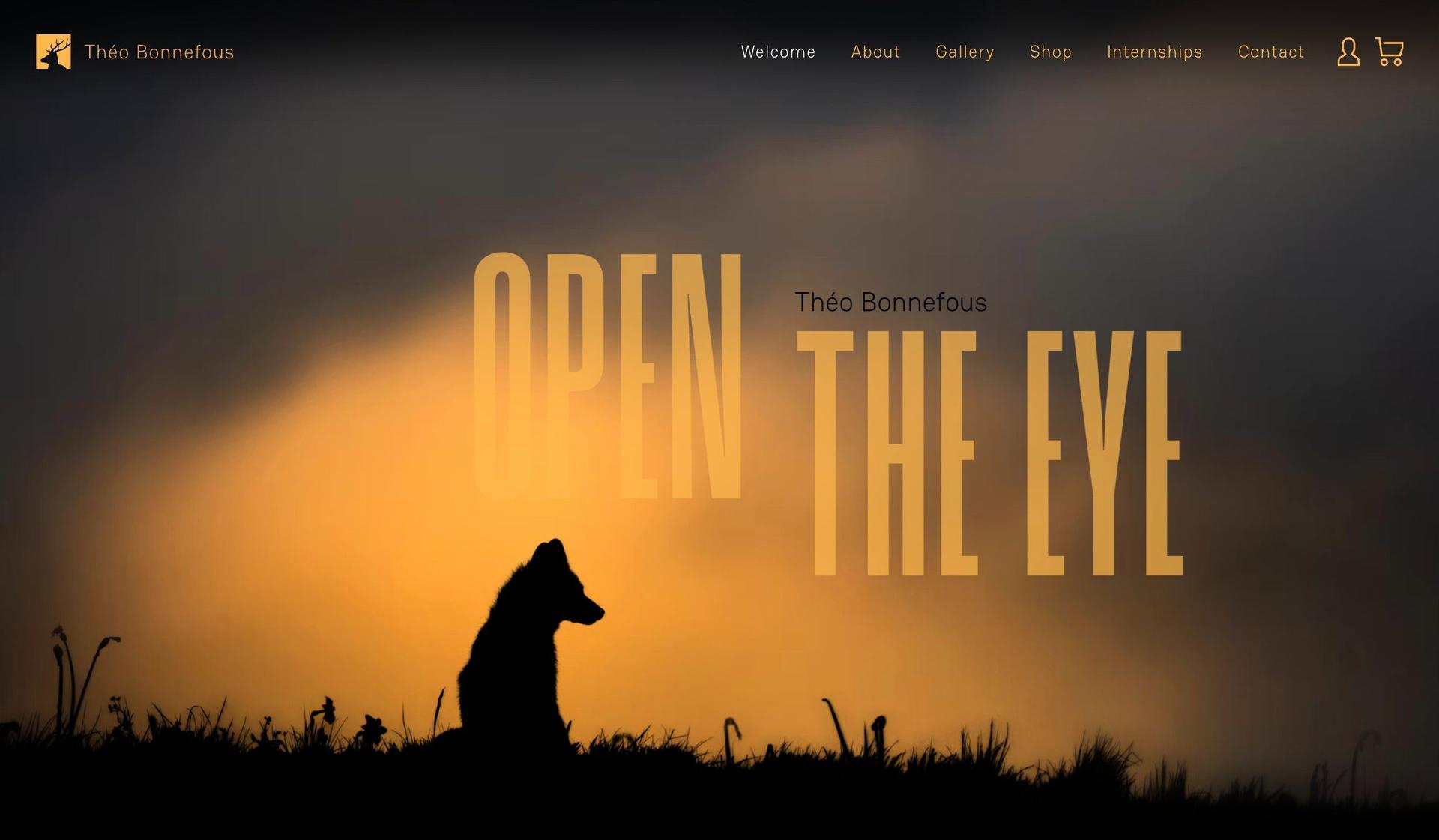 Theobonnefous-fun website designs
