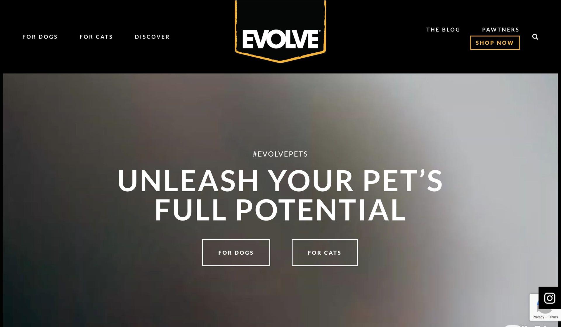 Evolve Pet Food-pet shop ecommerce websites