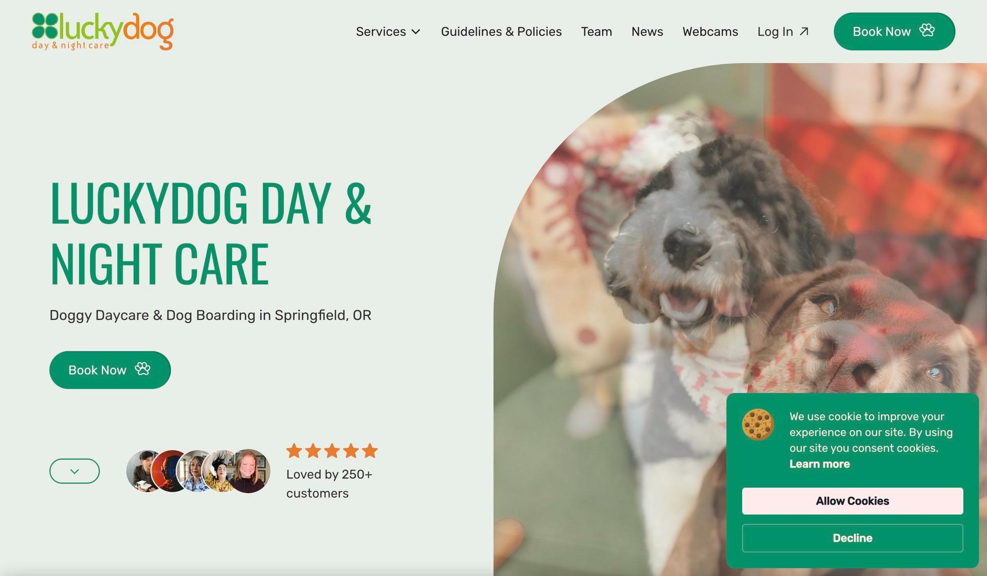 Lucky Dog Care-pet shop ecommerce websites