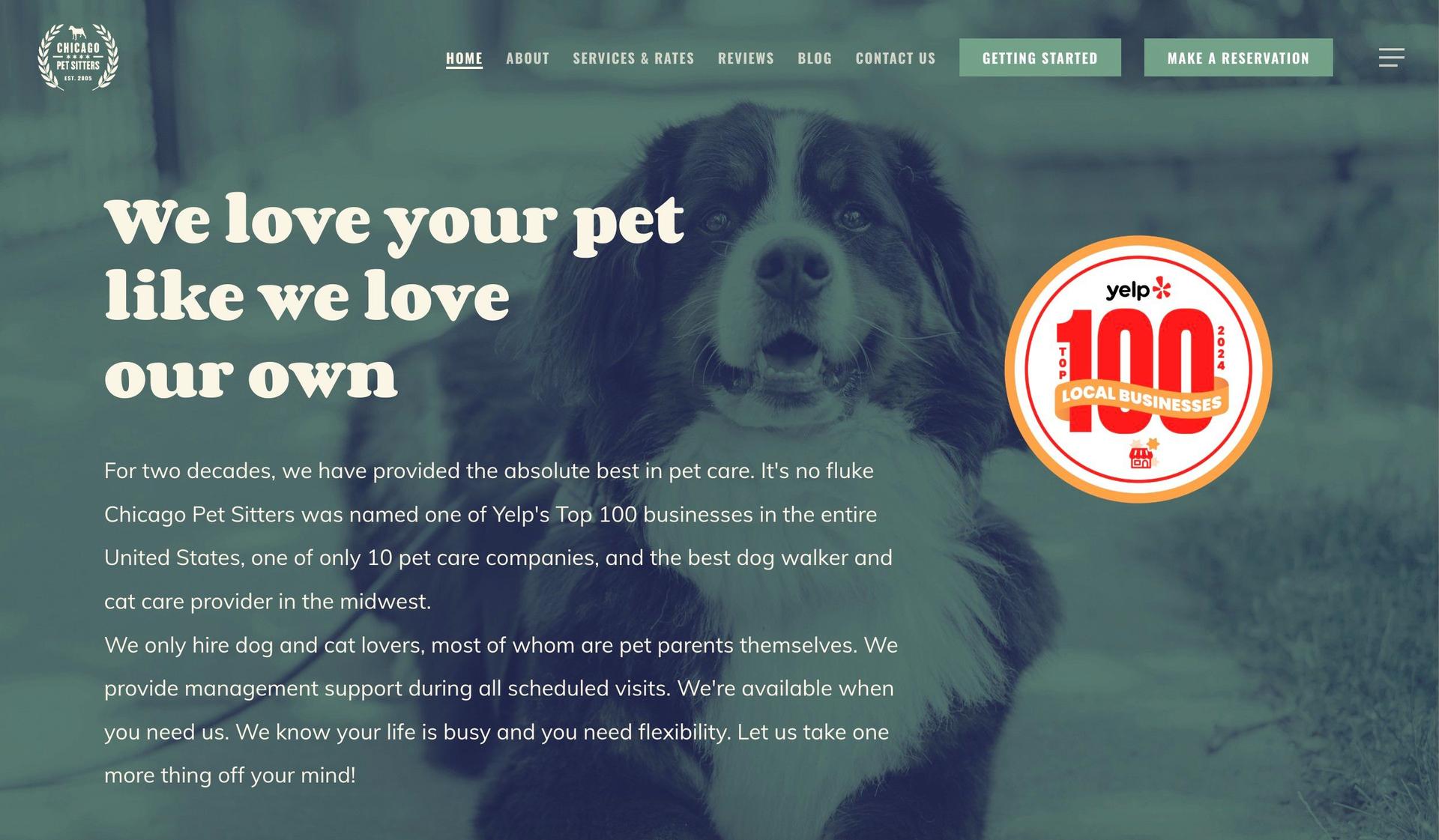 Chicago Pet Sitters-dog walking website examples