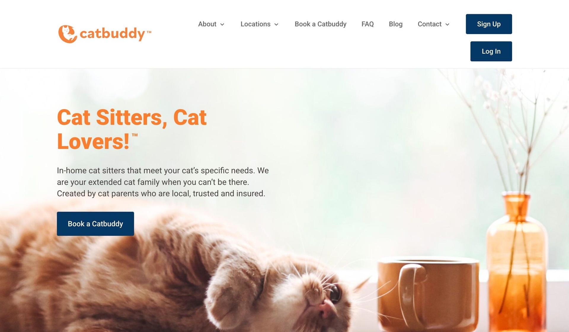 Cat Buddy-dog walking website examples