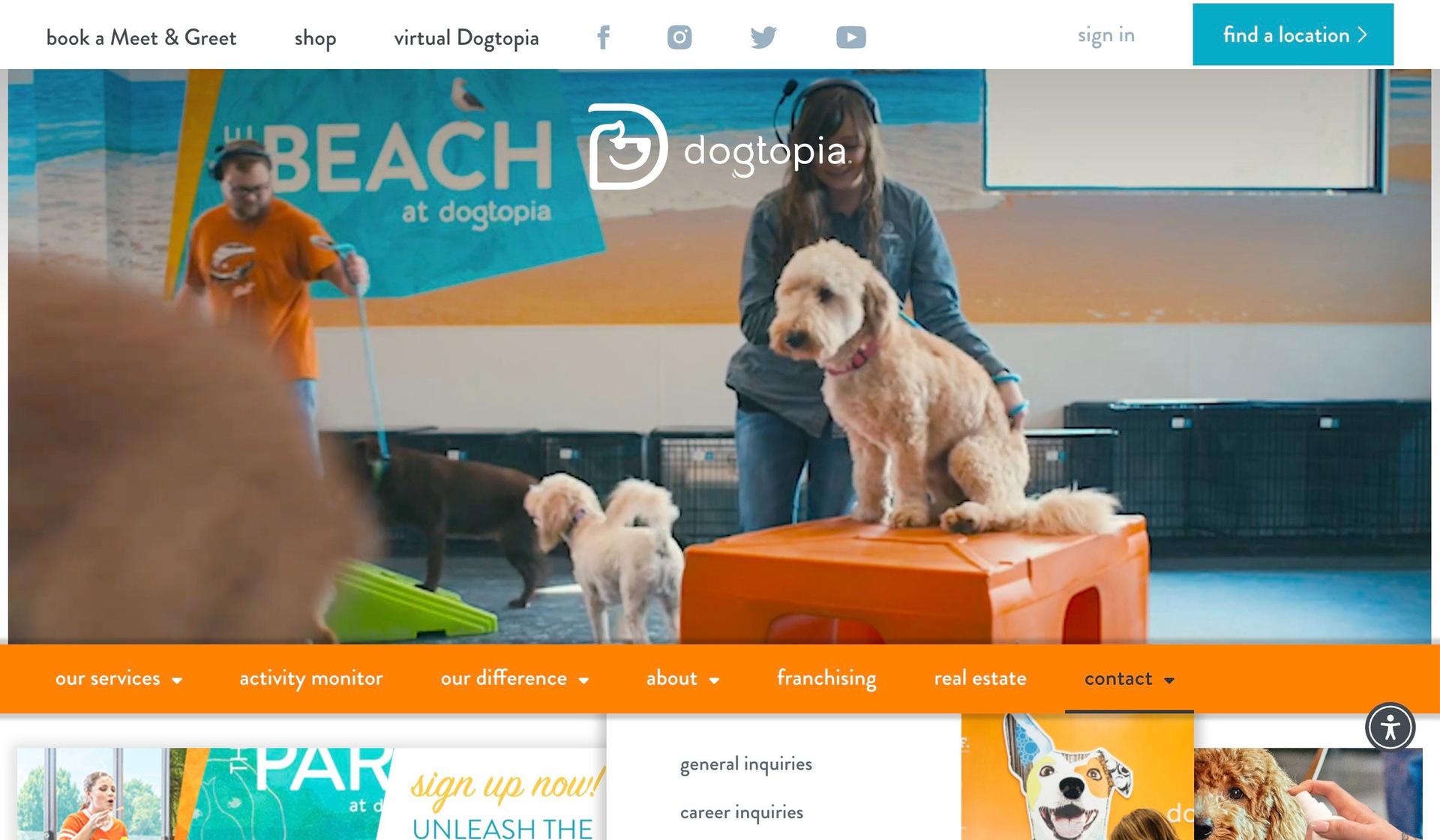 Dogtopia-dog walking website examples